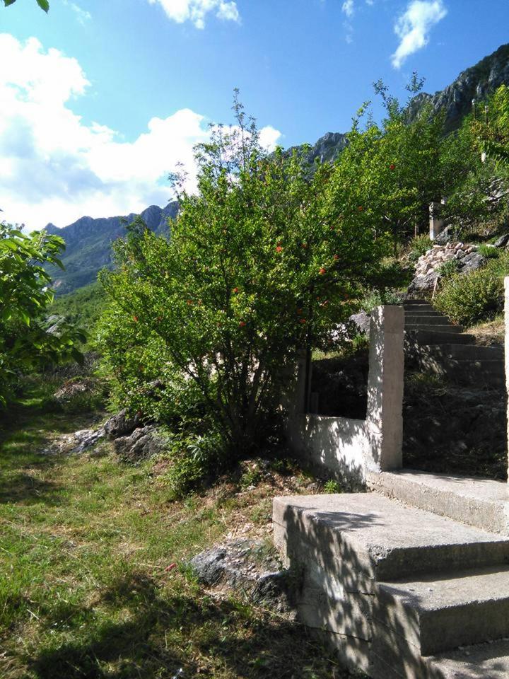 Kuća Lavanda