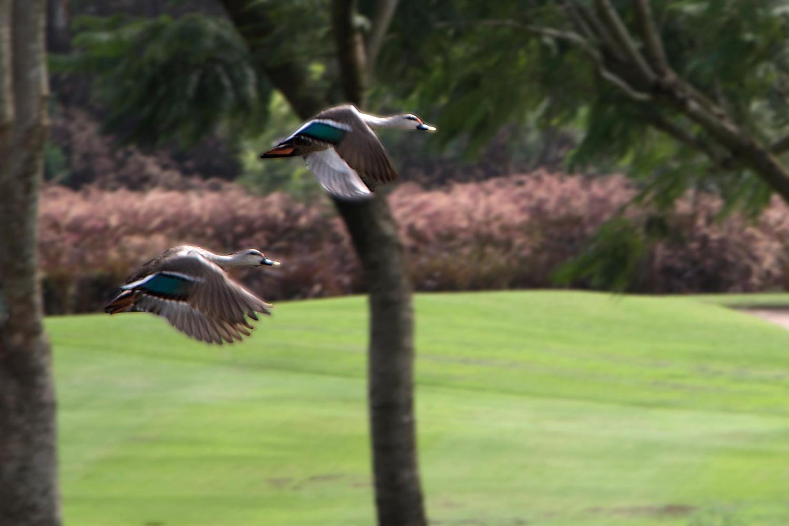 Oxford Golf Resort