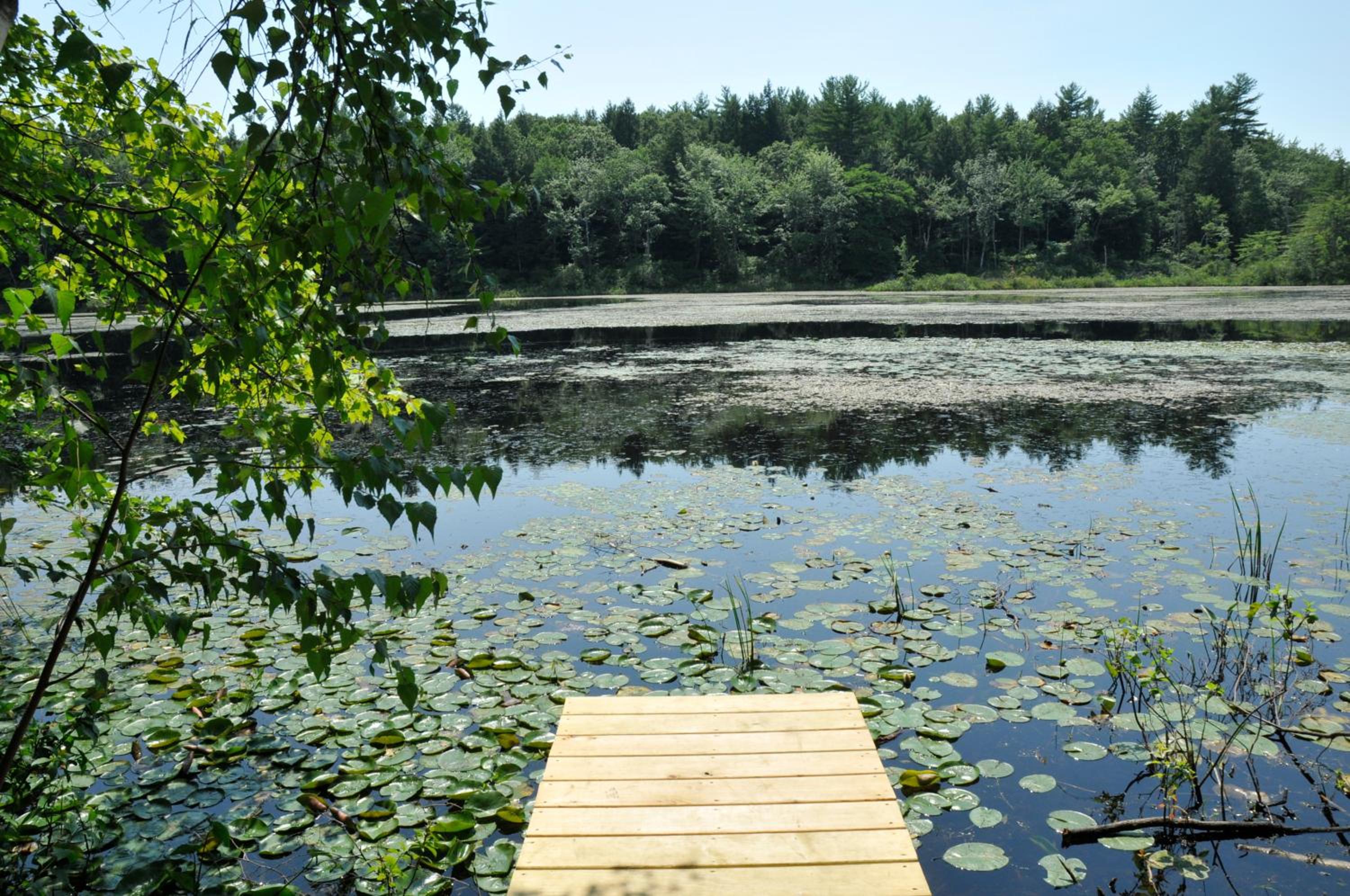 Tuxbury Pond Camping Resort Tiny House Henry - Property Image 15