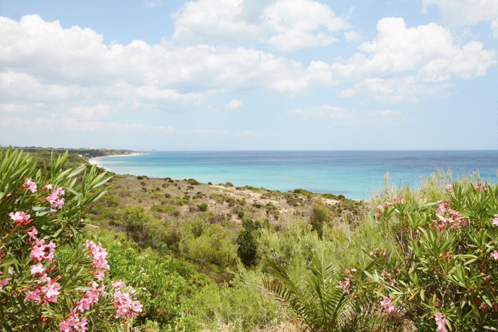 other