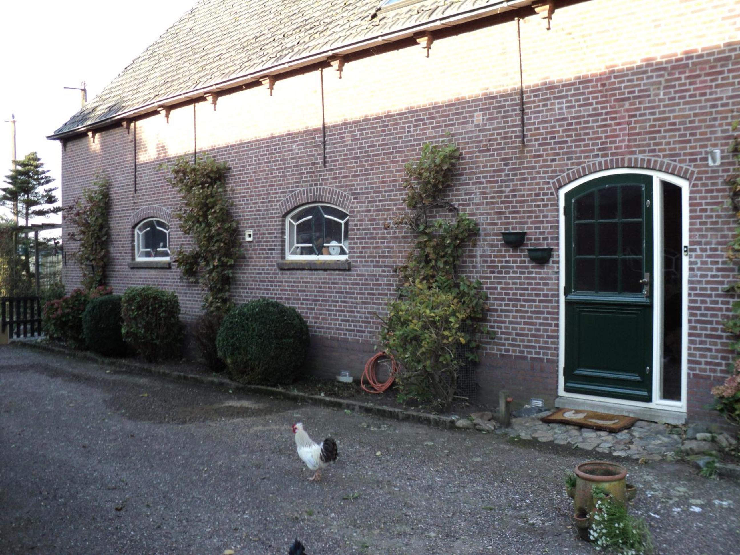 B&B De Kaagse Koe