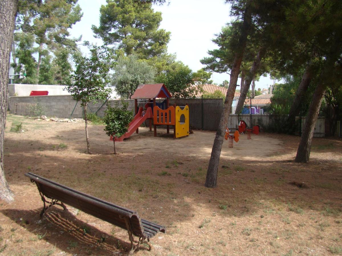 Photo 24