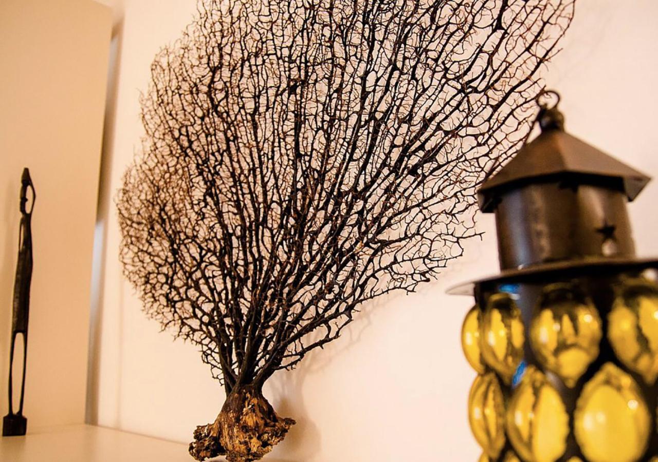 Casa Vacanze Barcola photo 3