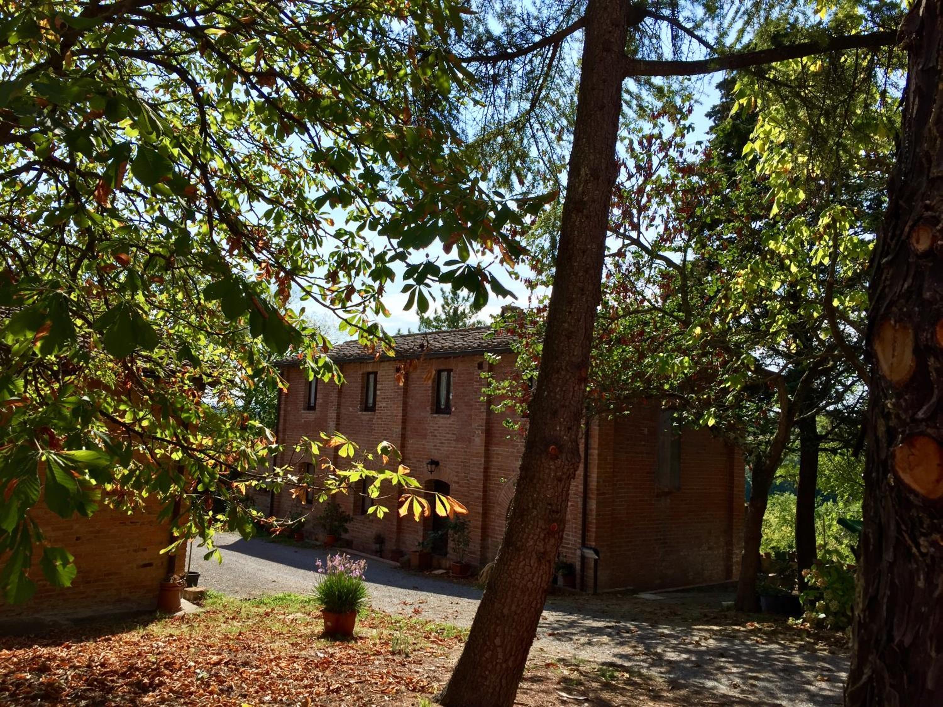 Photo 43