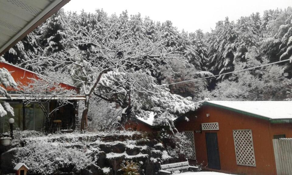 Bluesky Pension