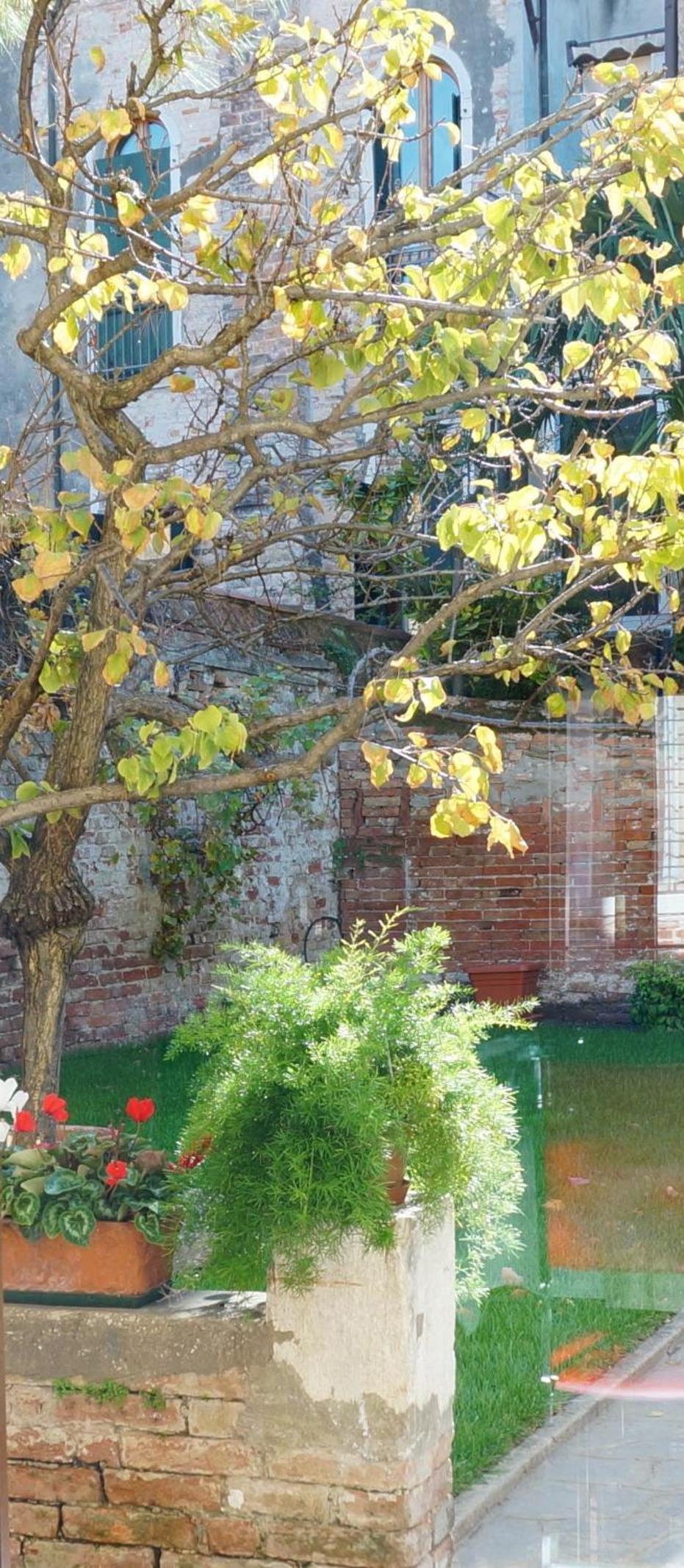 B&B HORTUS