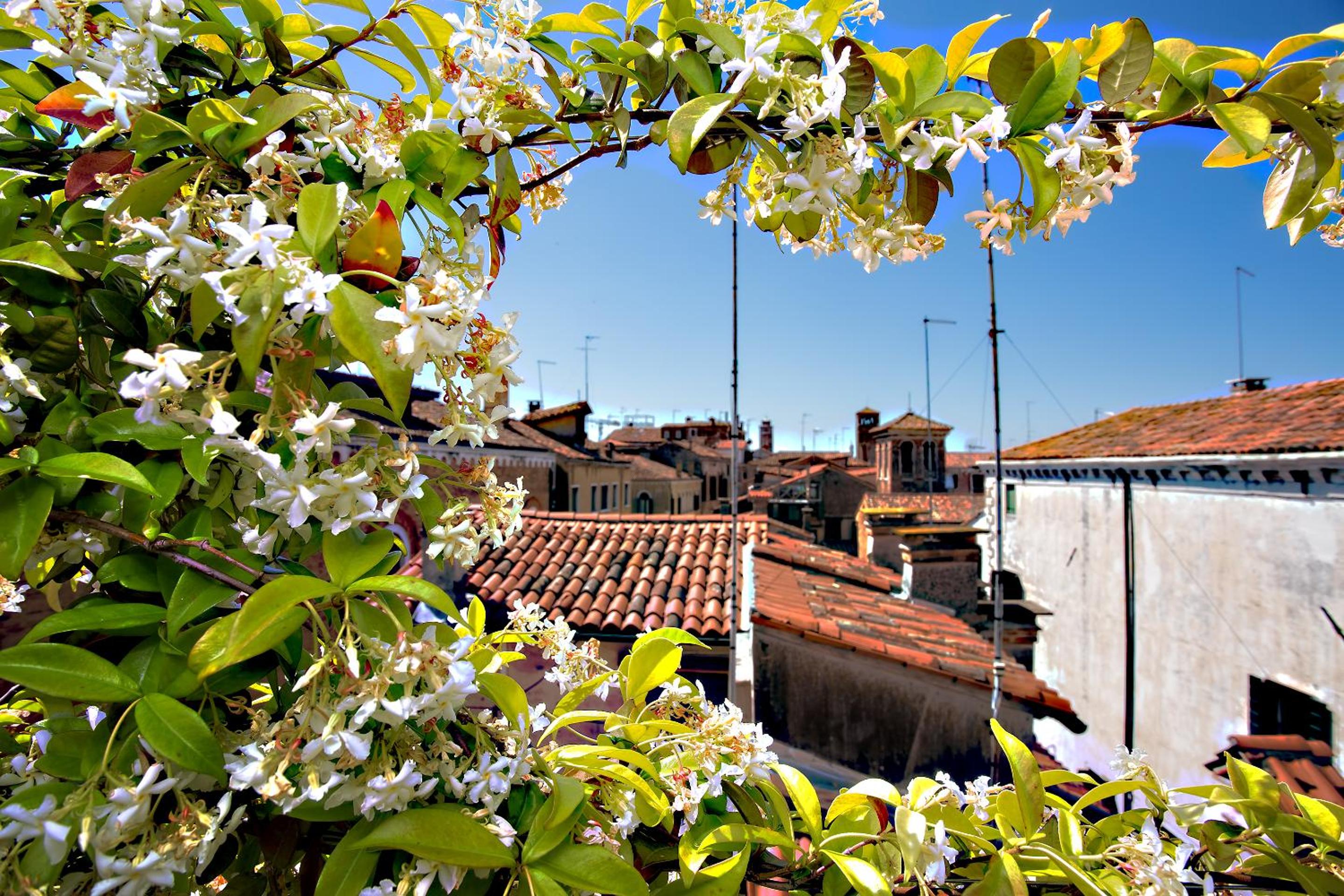 Ca' San Giorgio B&B
