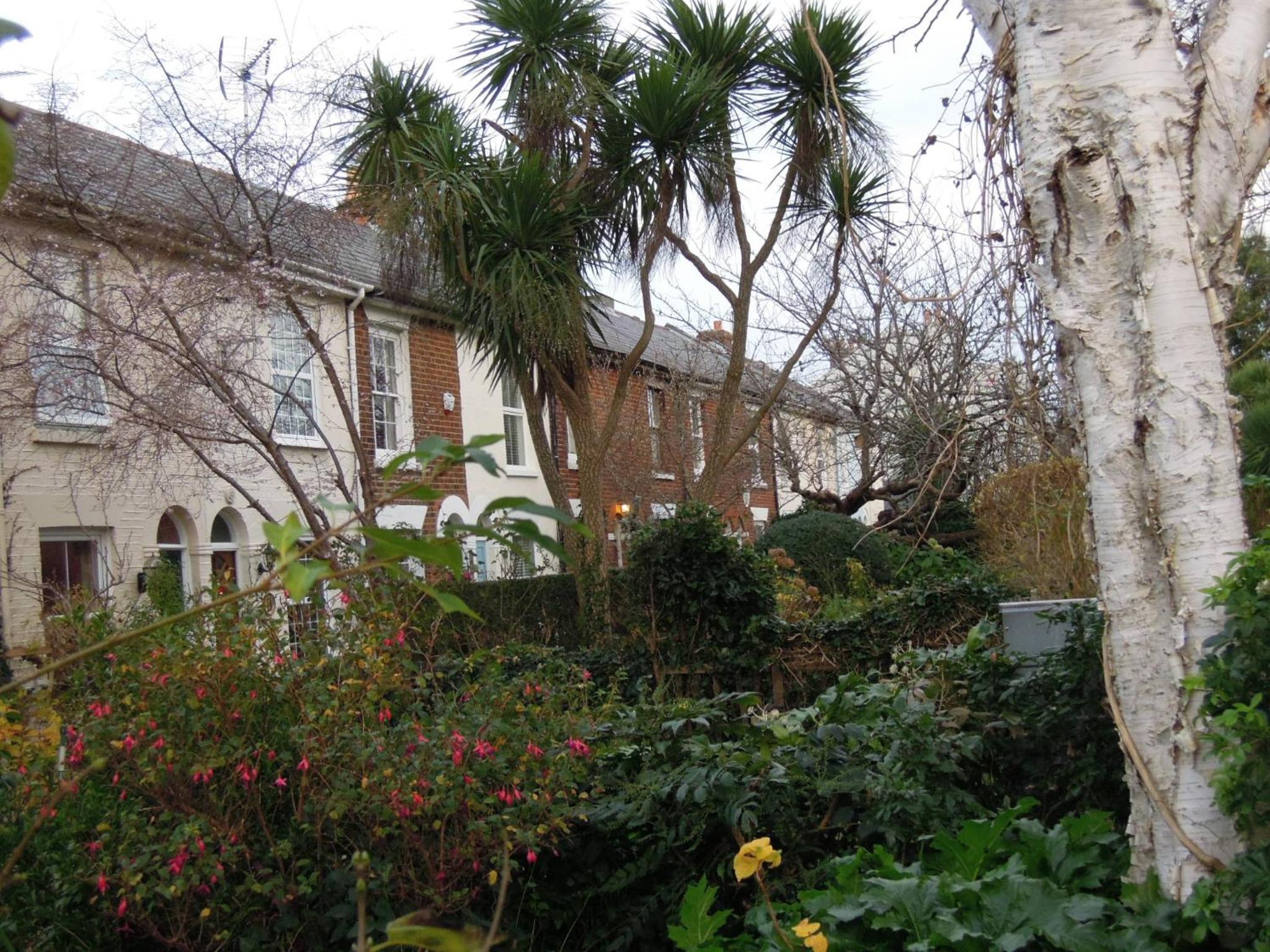 Photo 20