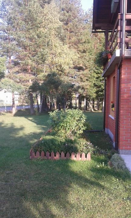 Photo 50