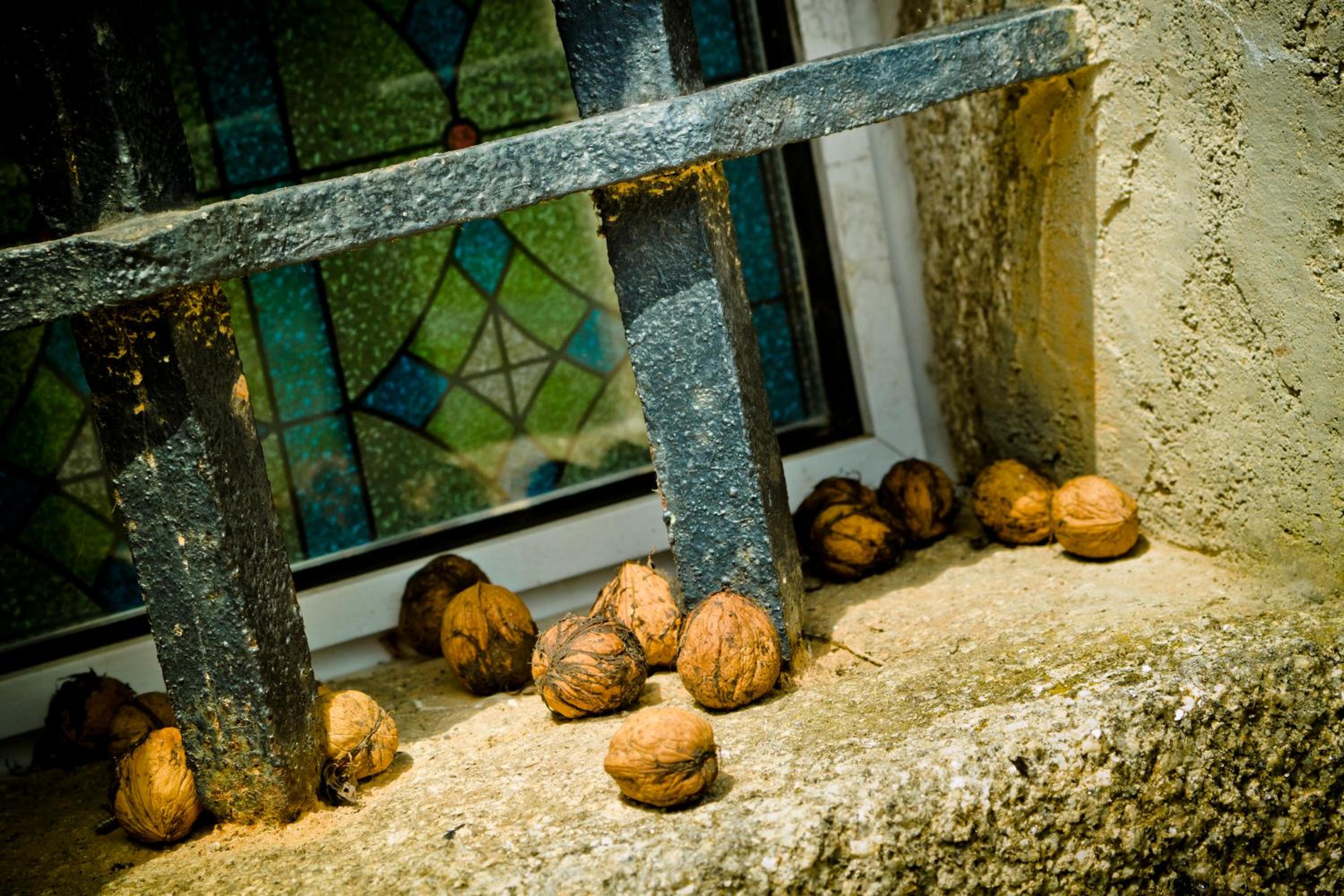 Pazo de Verdes