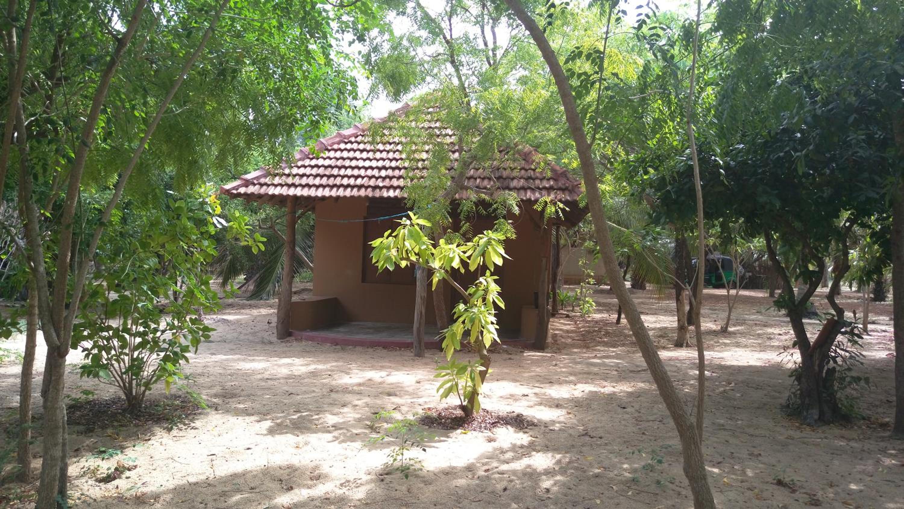 Photo 27