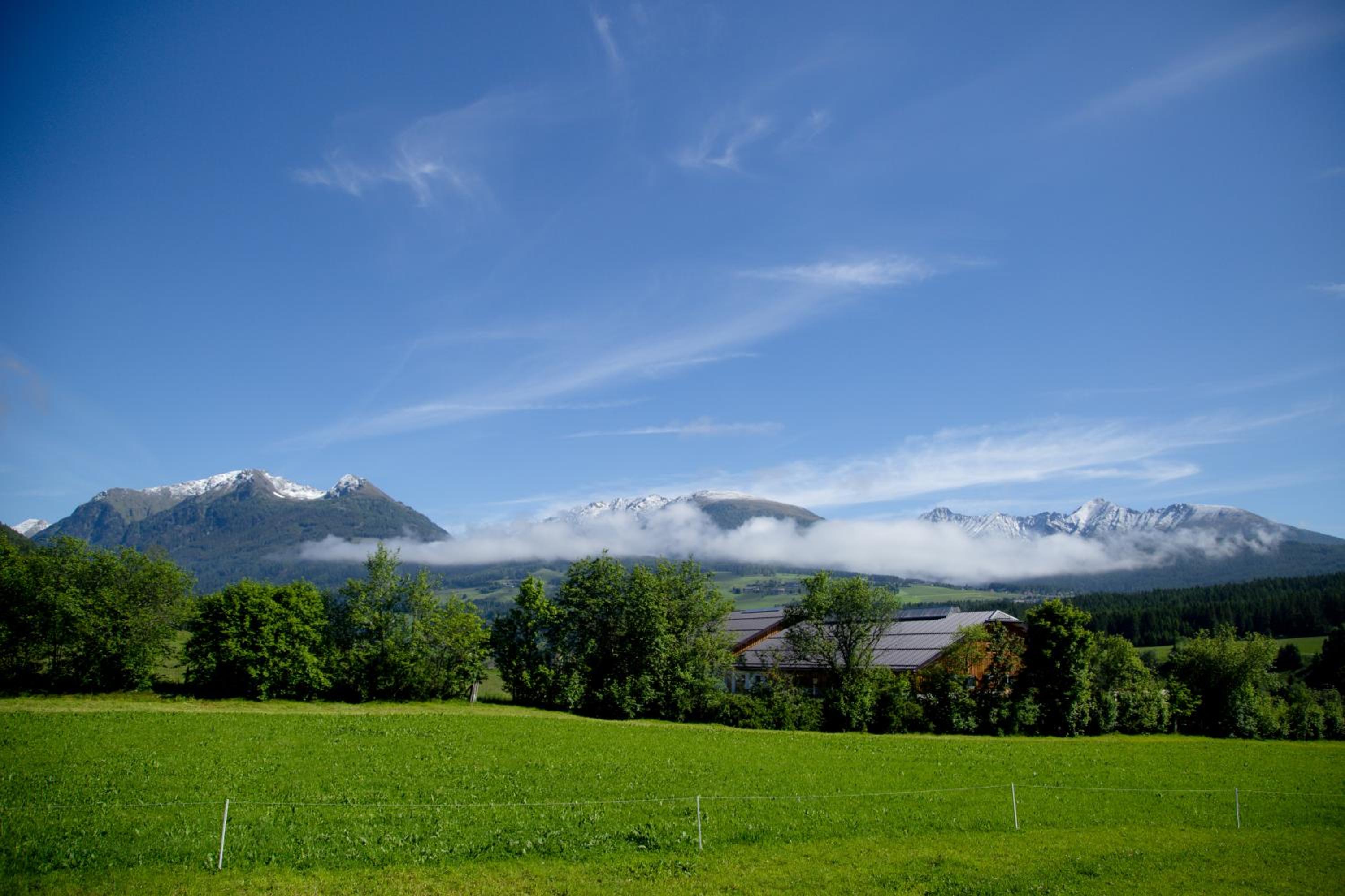Photo 23