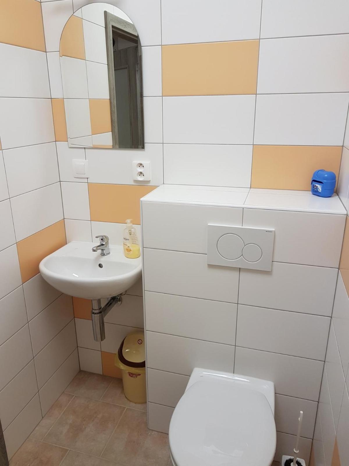 Apartmany u Dvora view 2