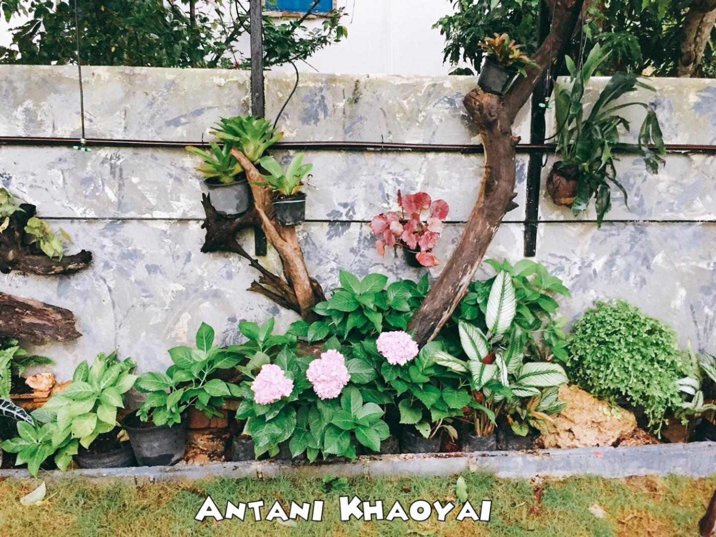 Antani Home @Khaoyai