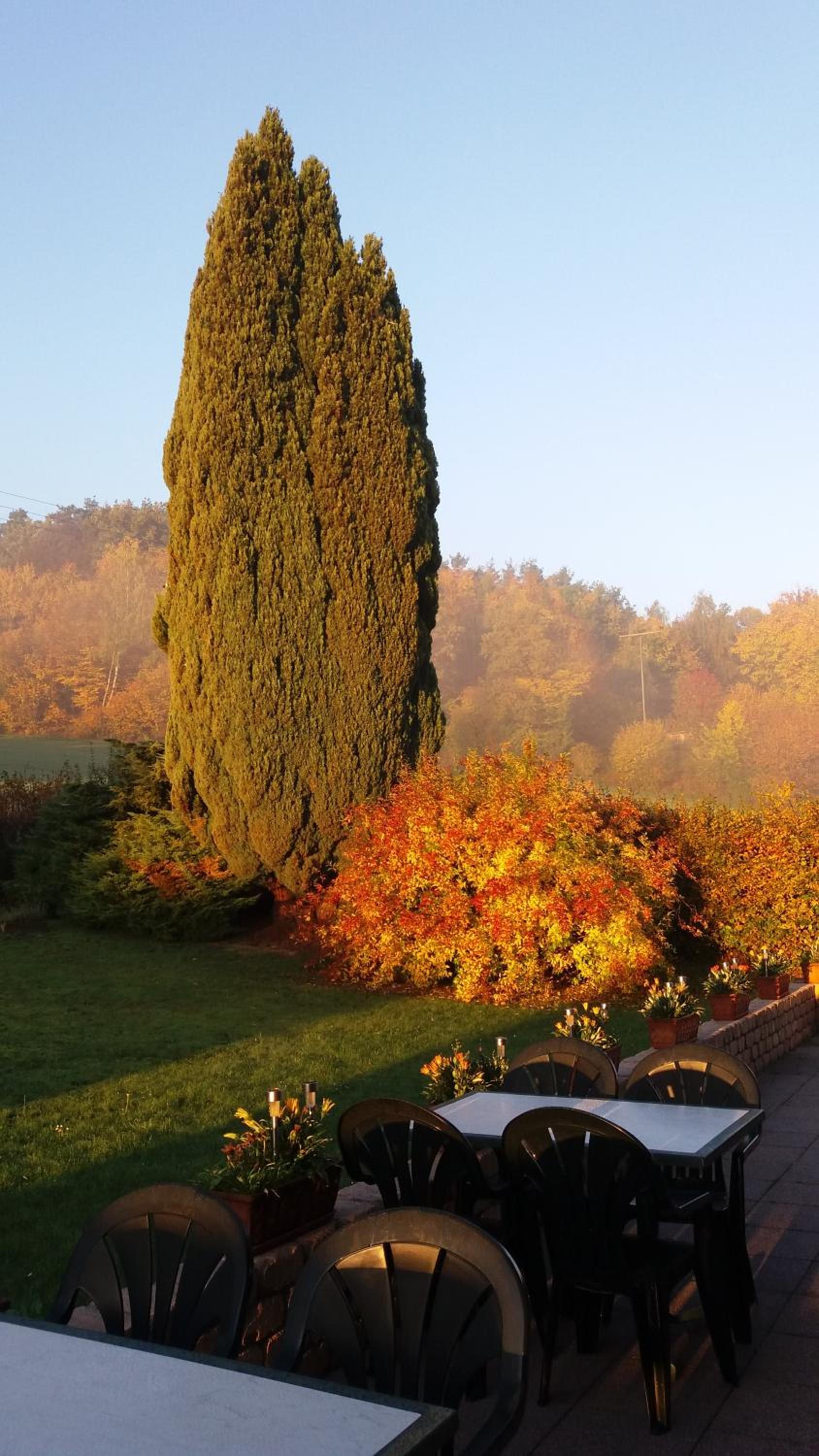 Hotel Sonnenhof