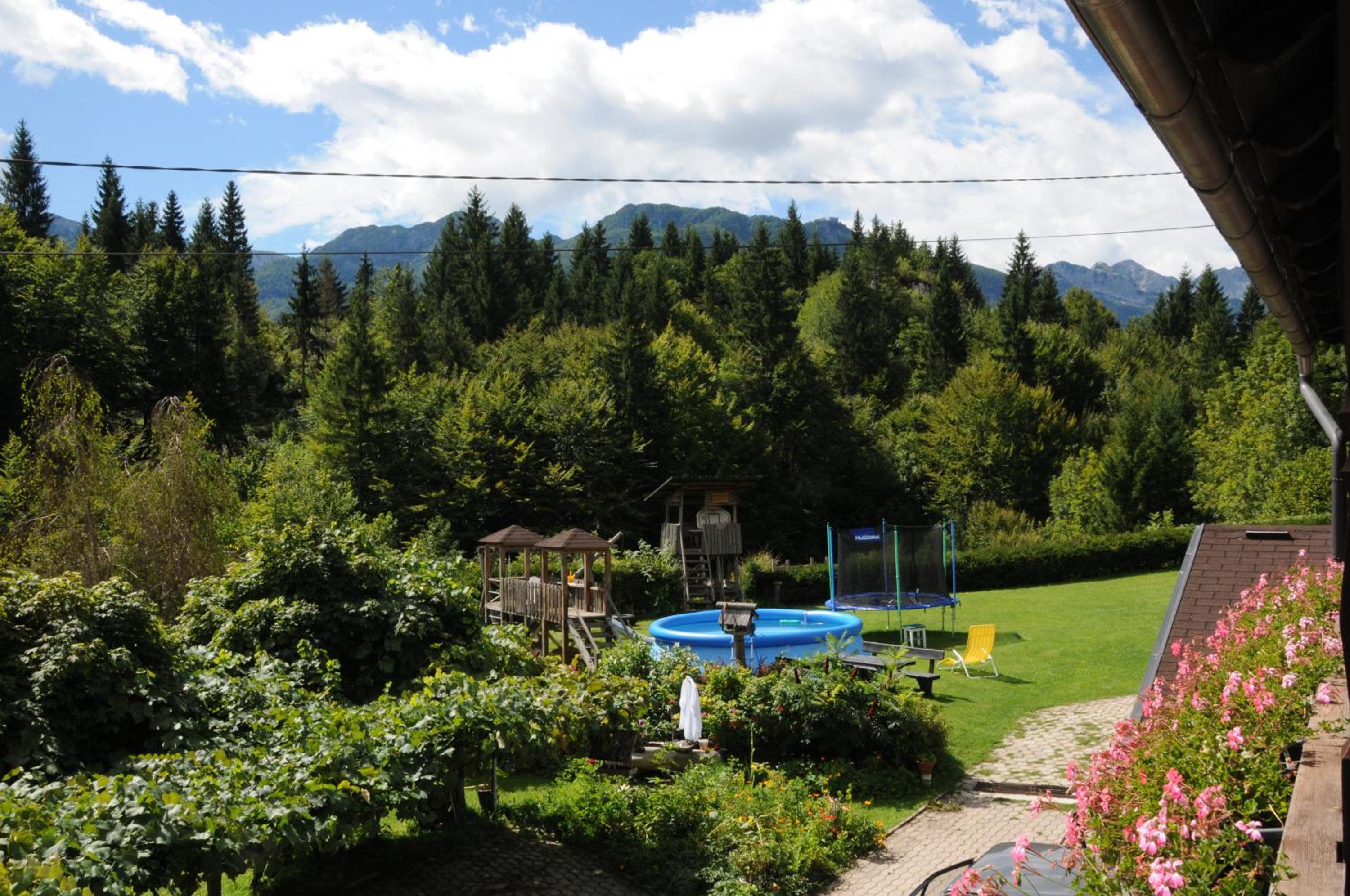 Apartmaji Rabič view 5