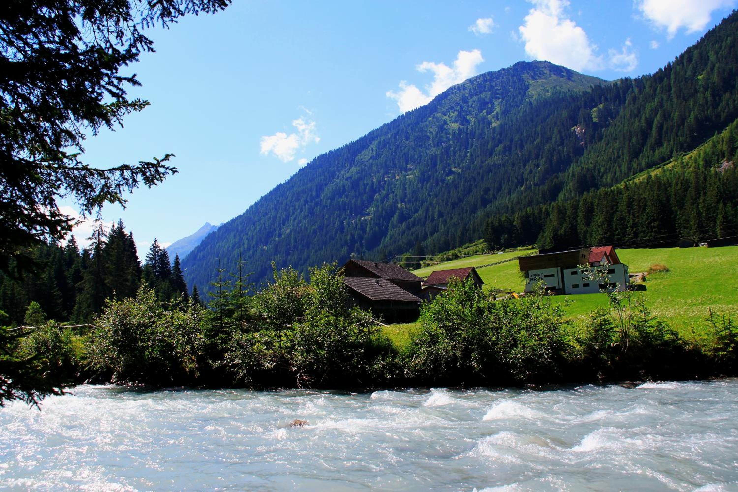 Apart Arve