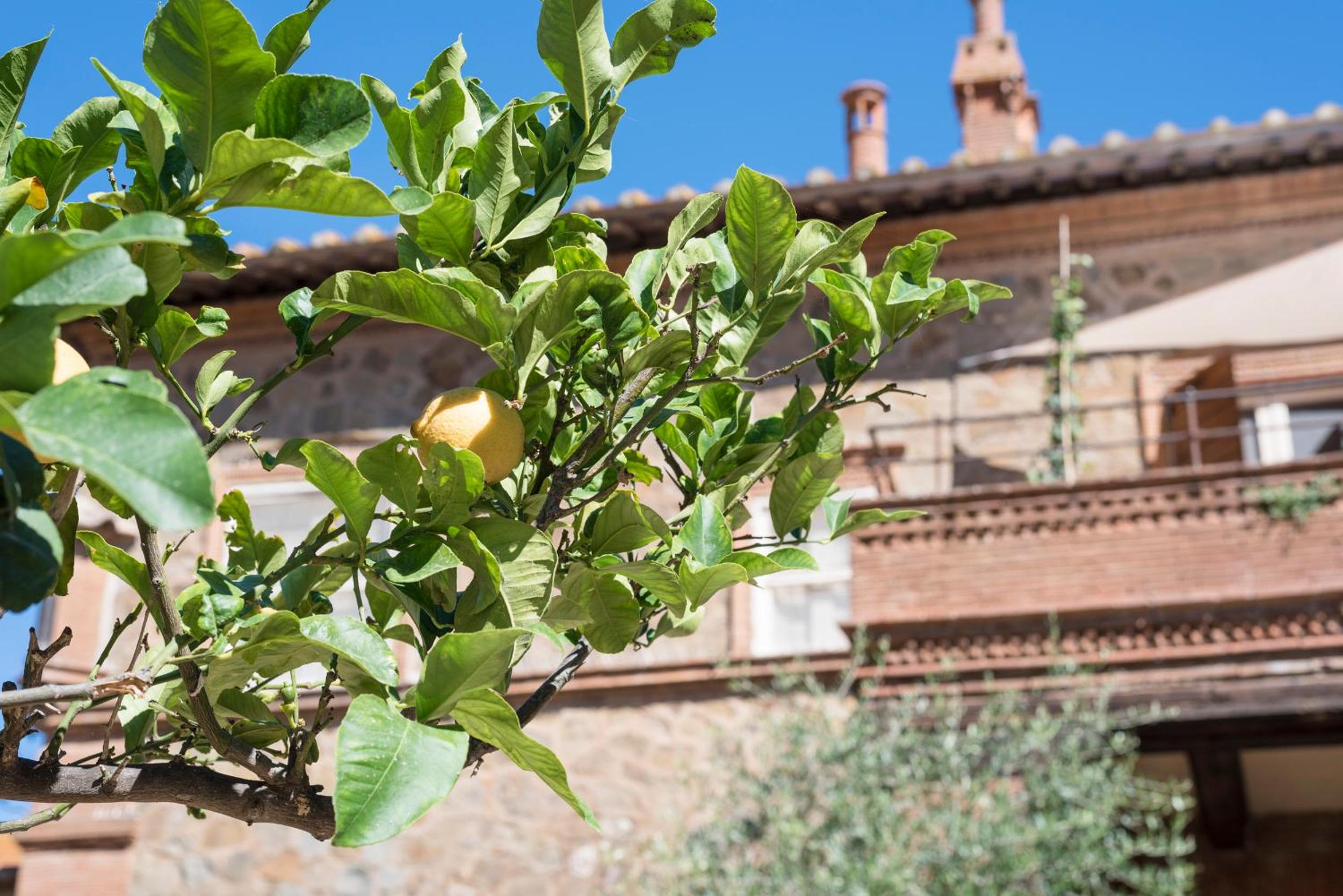 Fattoria Pian Di Rocca