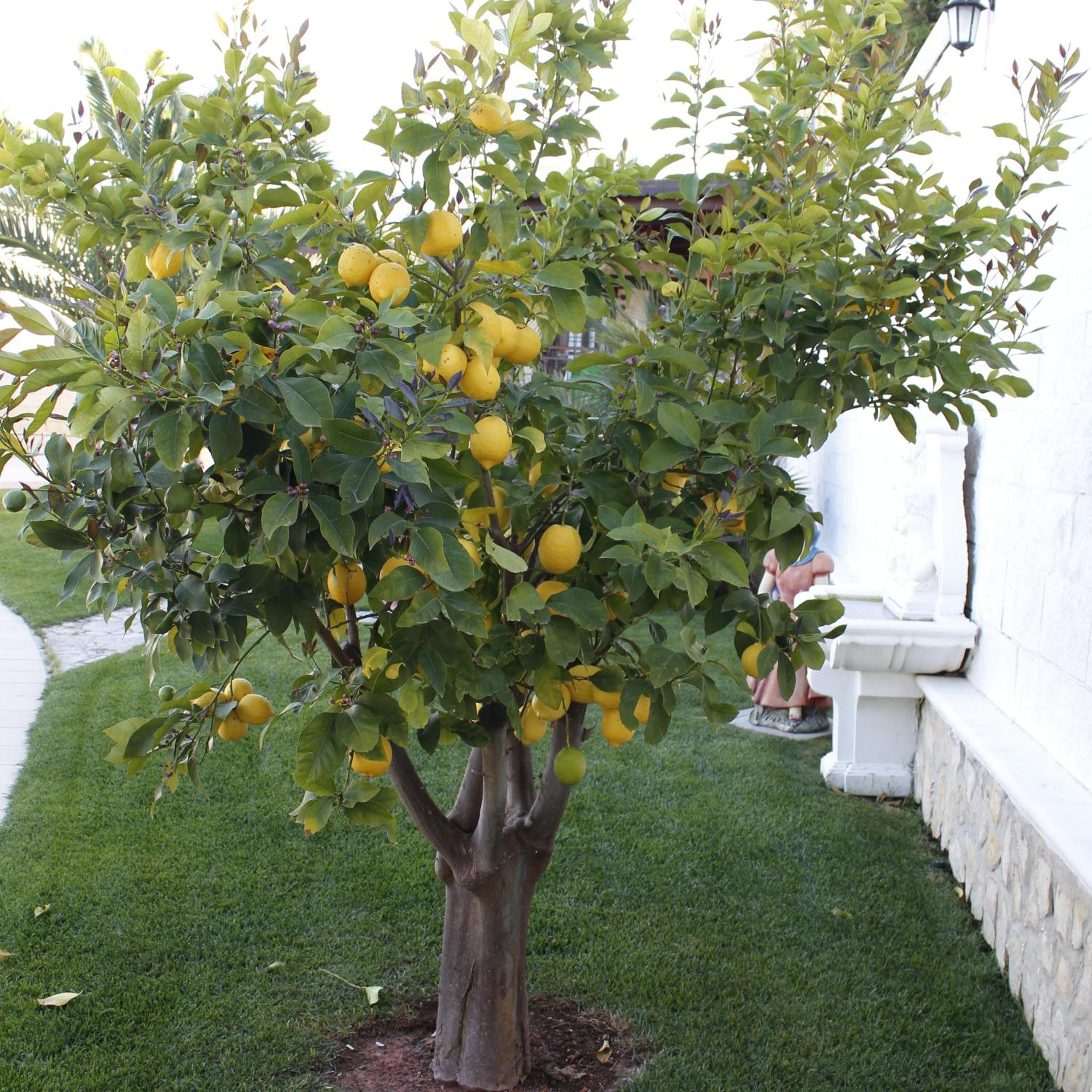 B&B Barletta Acasamia con Parcheggio Privato
