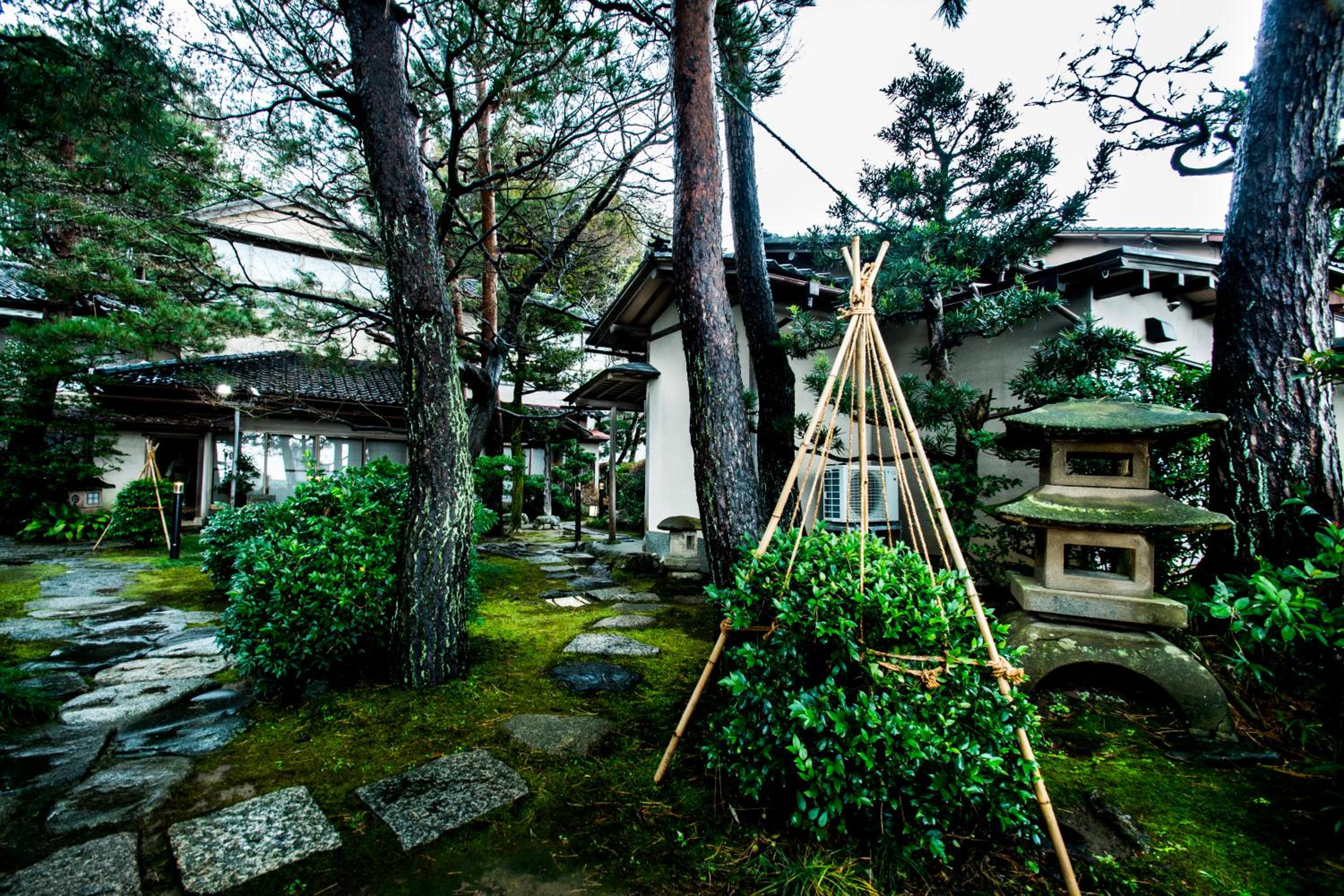 Yamanoo view 4