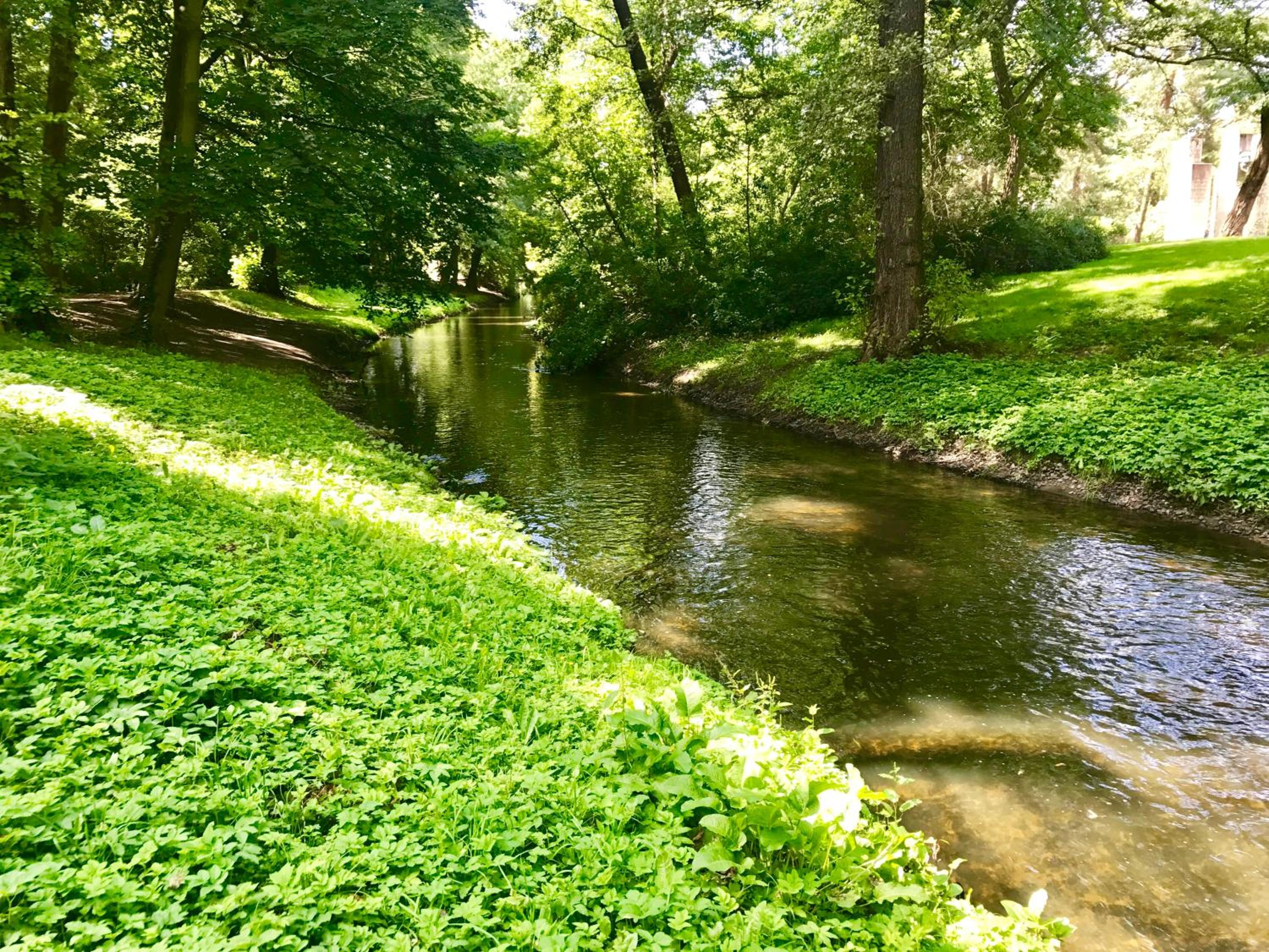 Bürgerpark Apartments