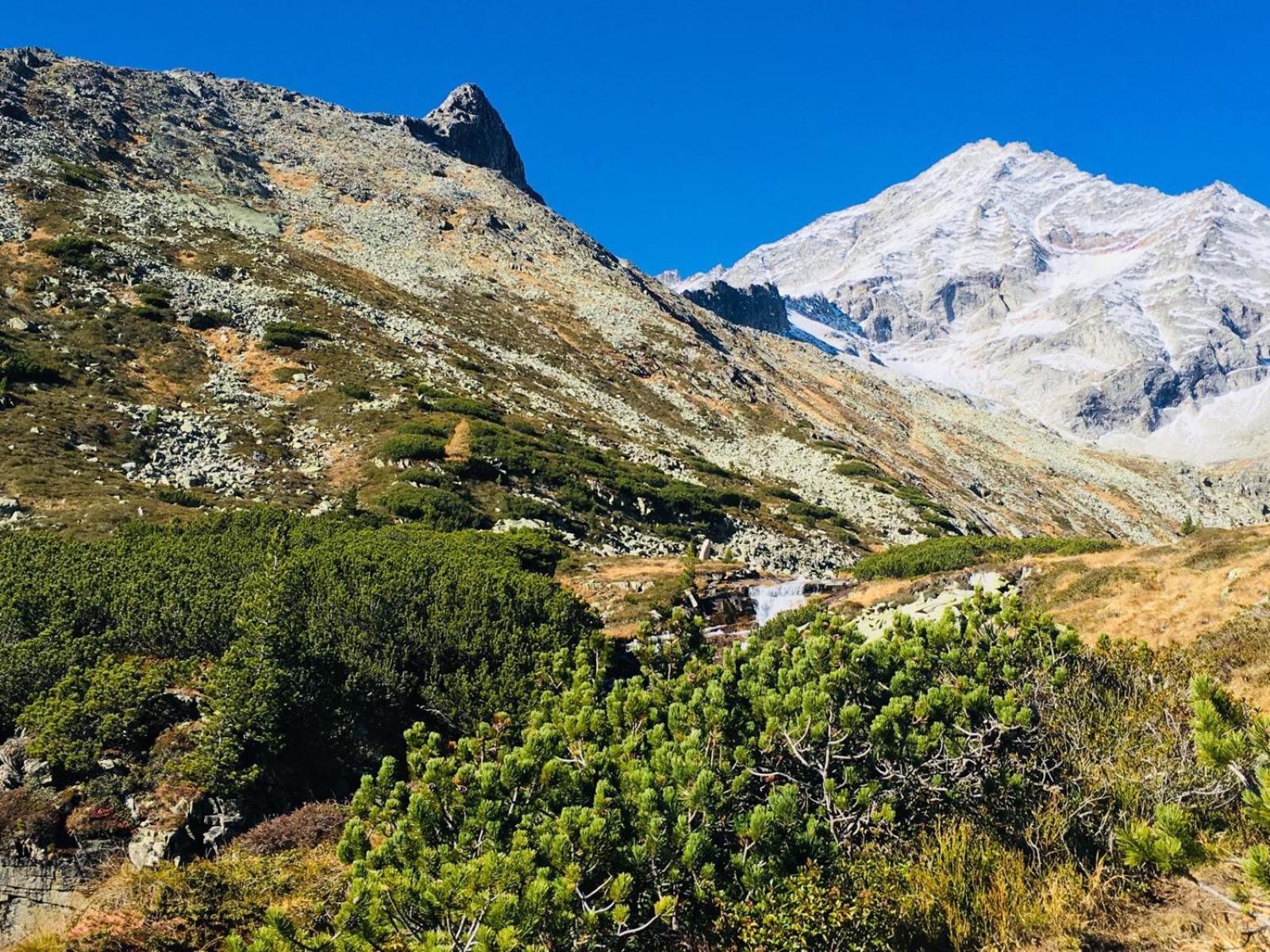 Appartements Alpenblick