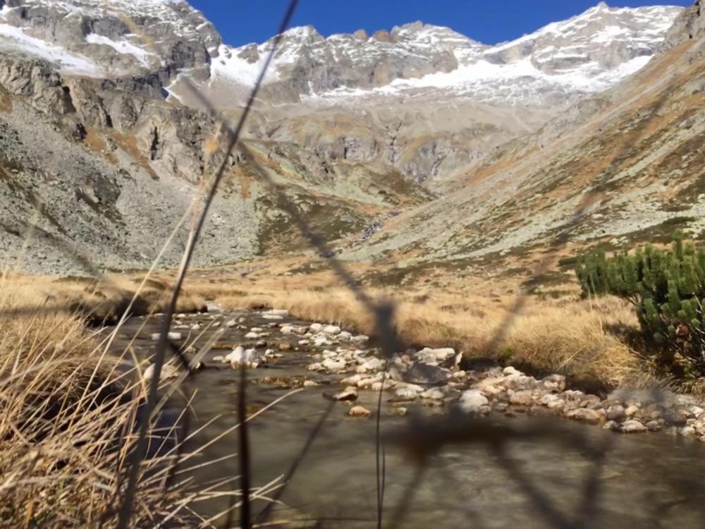 Appartements Alpenblick