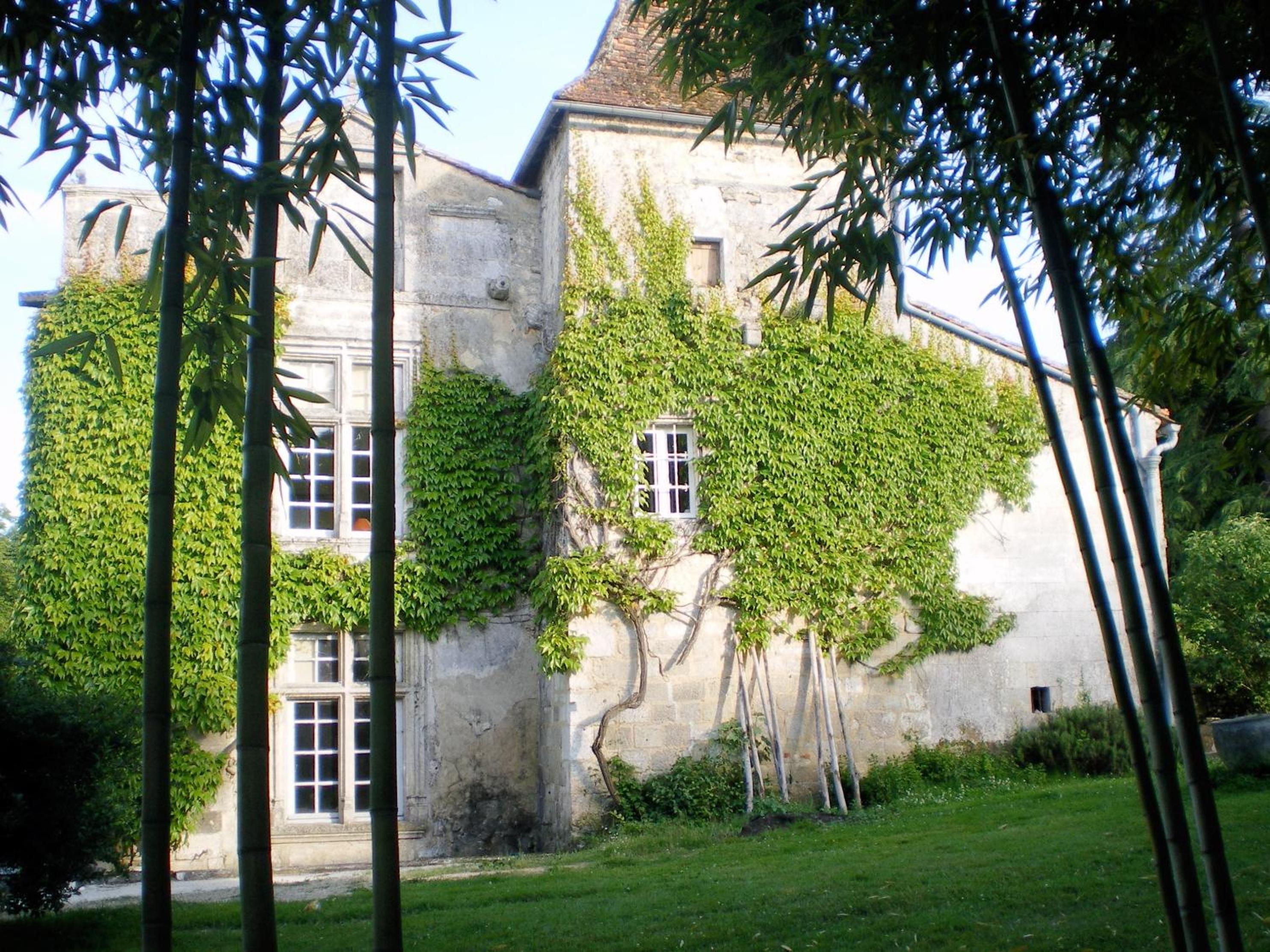 Photo 14