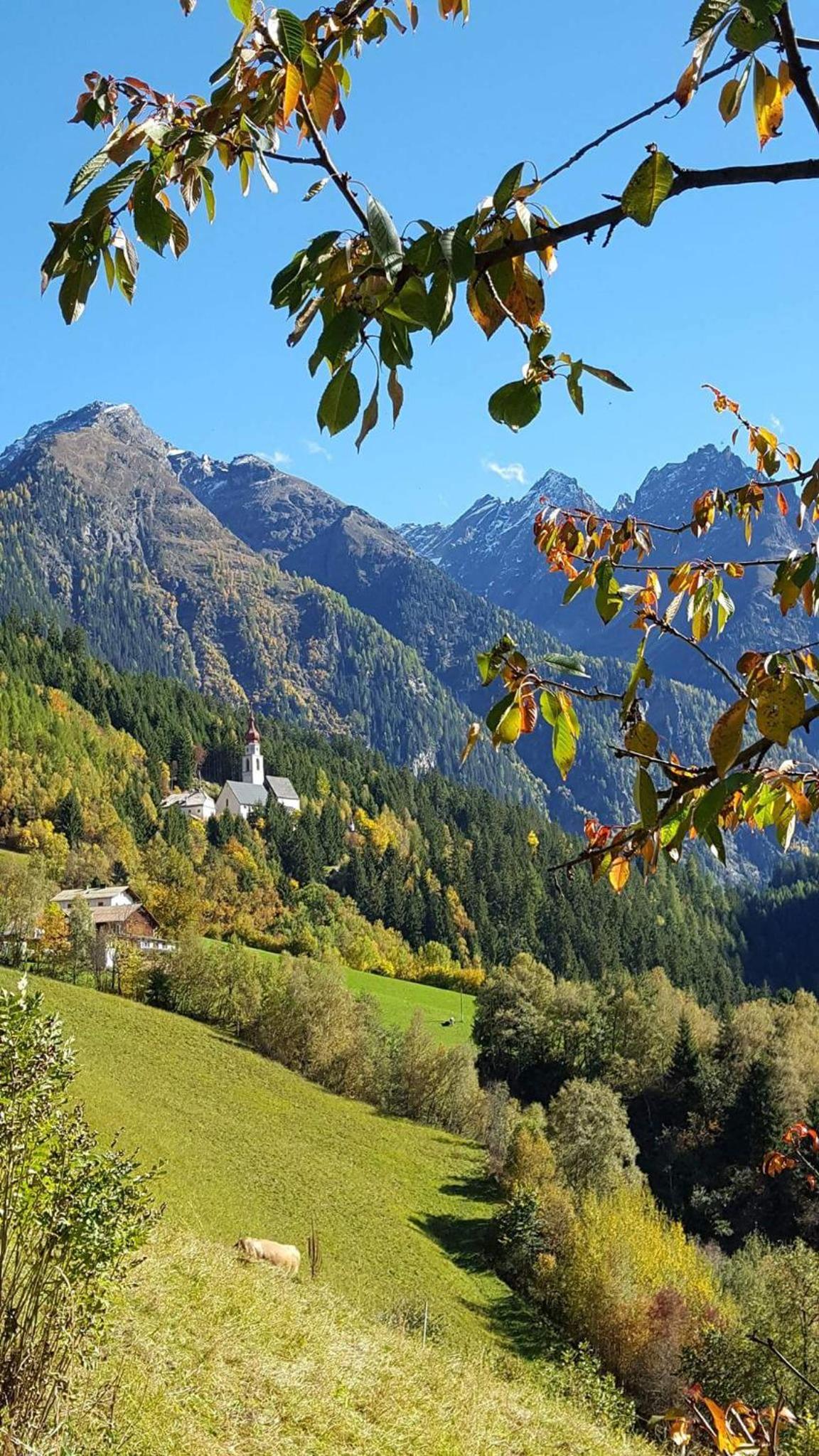 Haus Gfall