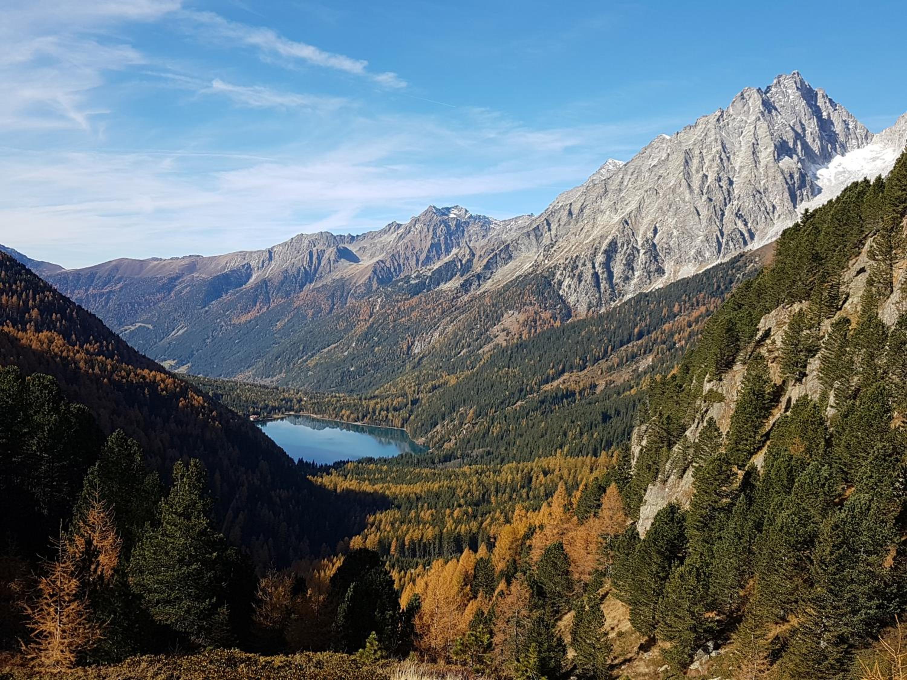 Pension Fürhapter mit Bio- Bauernhof
