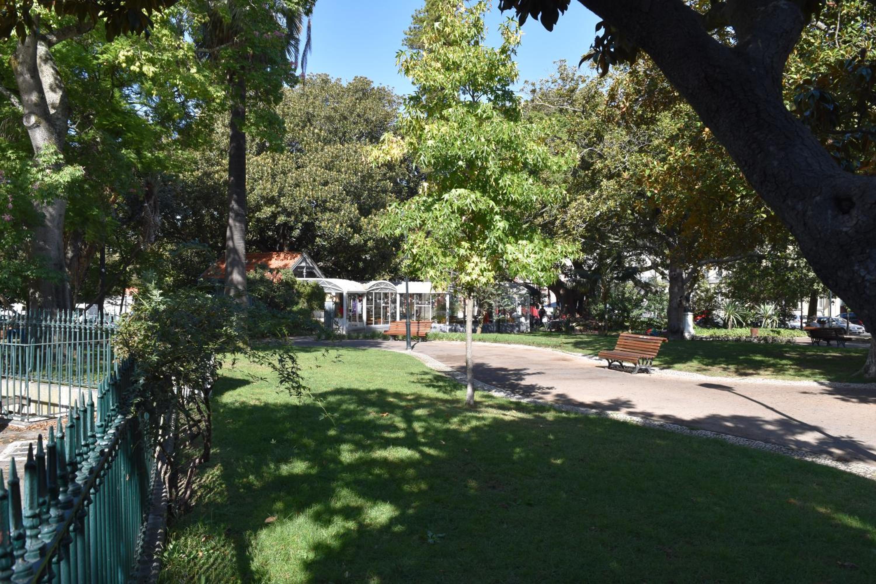 Photo 43