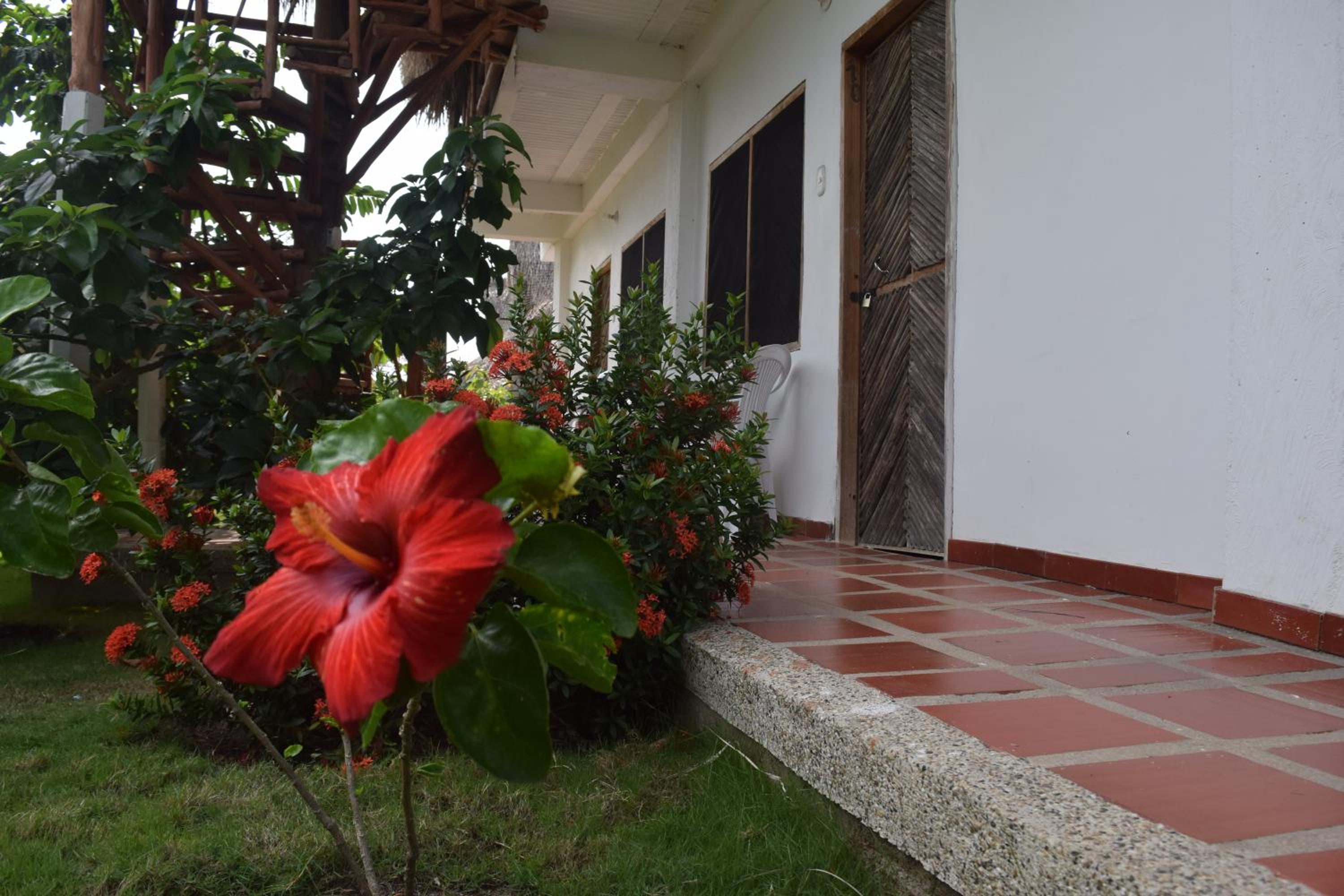 Palomino Breeze Hostal