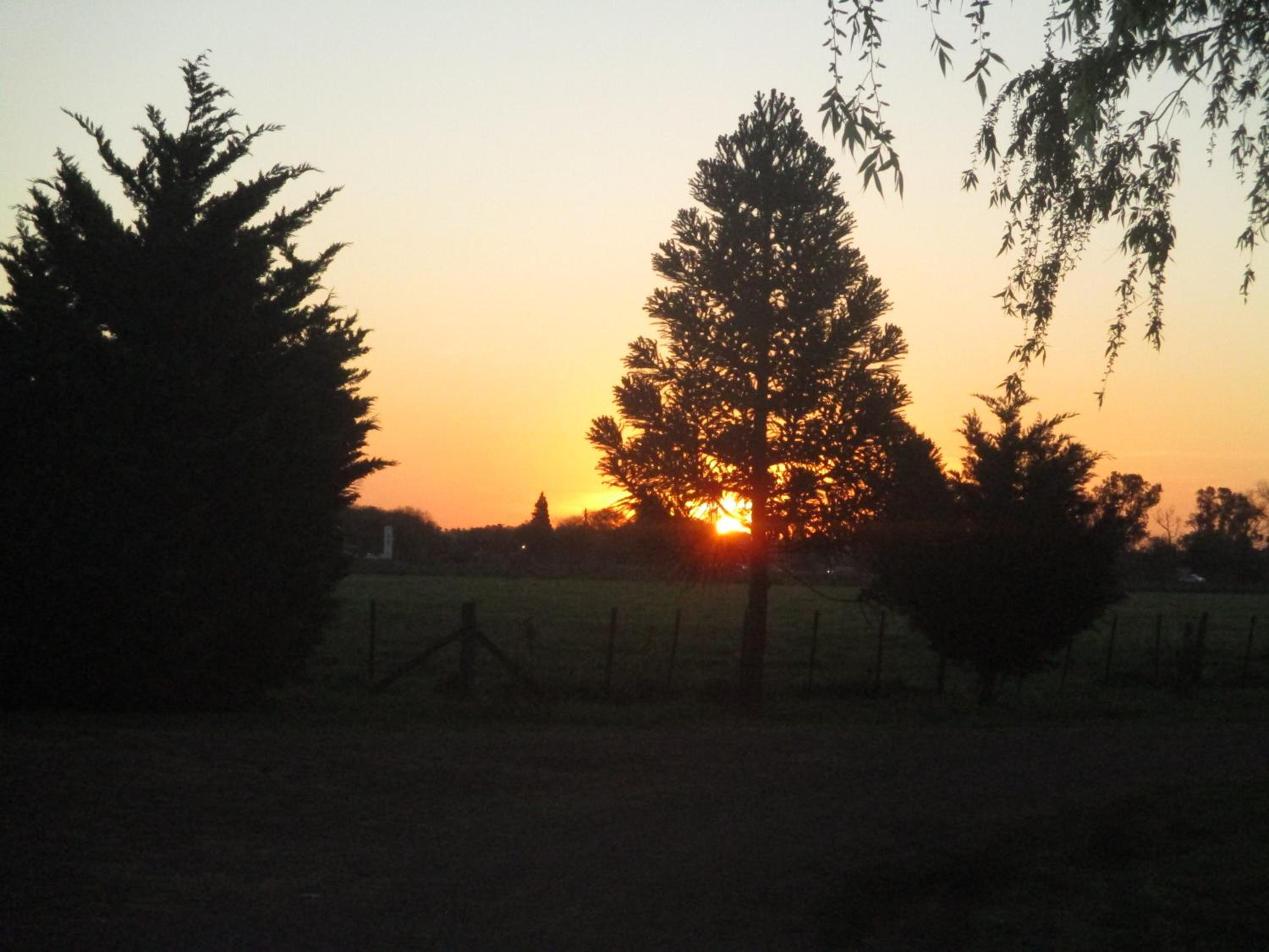 Casa Mansa Puro Campo