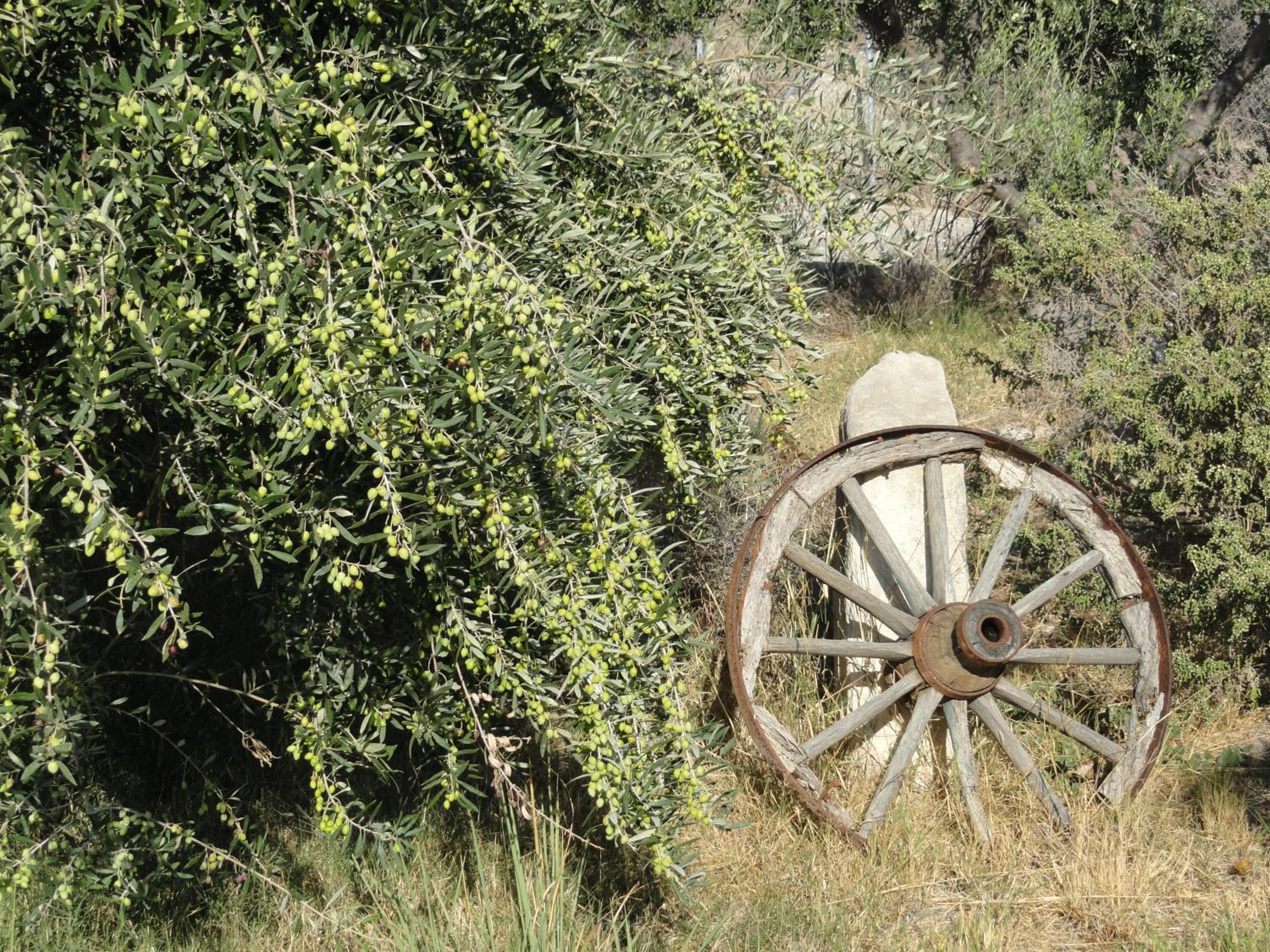 Photo 9