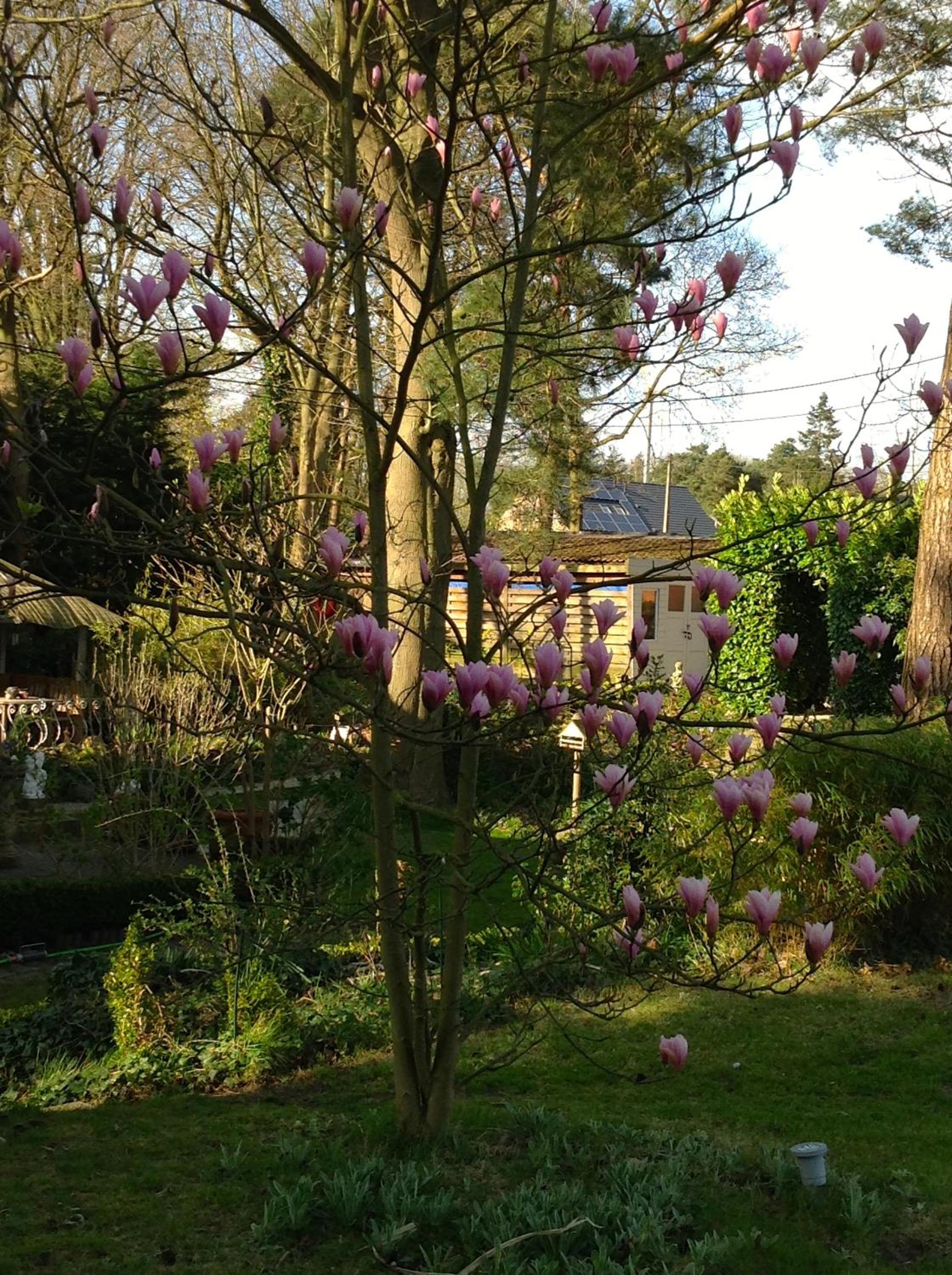 Holiday home Harmony