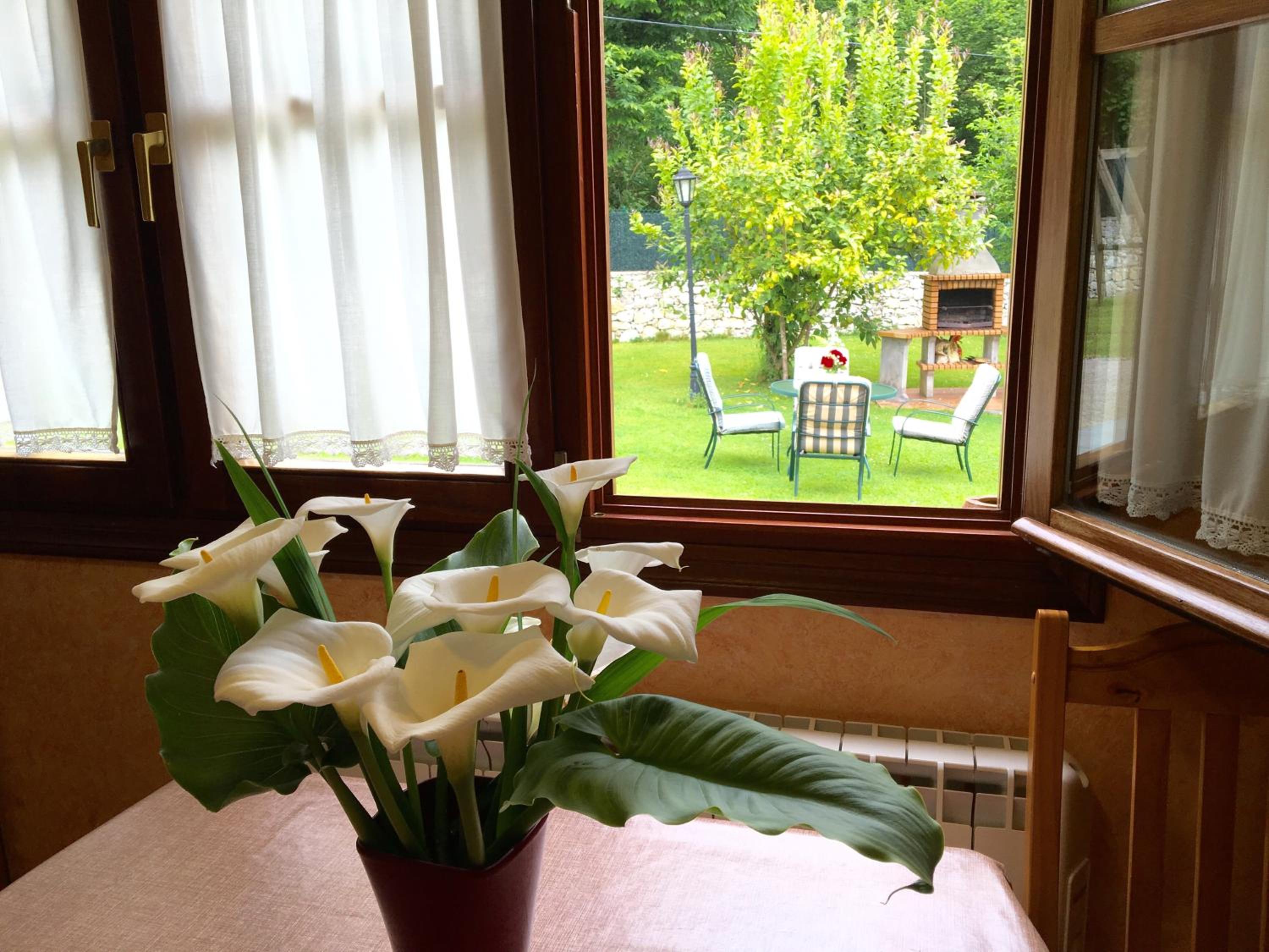 Photo 34