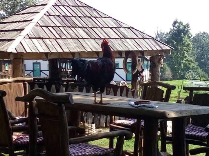 Farm Stay Čardaklije