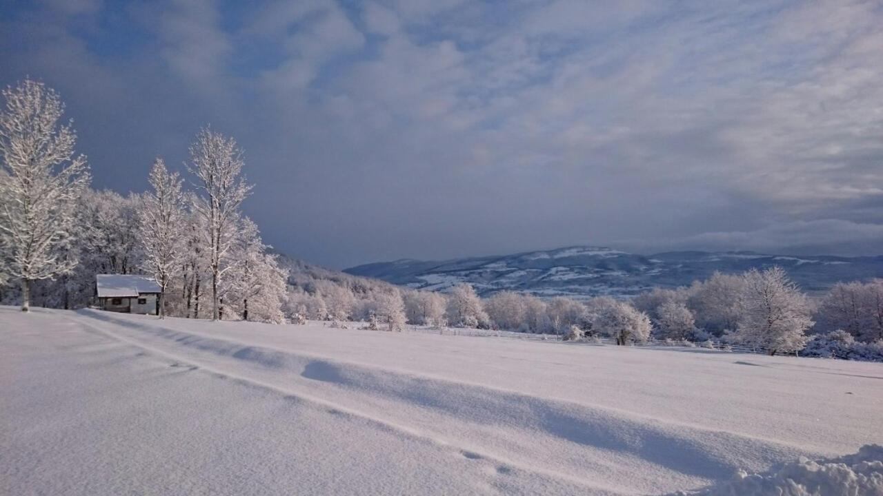 Farm Stay Čardaklije
