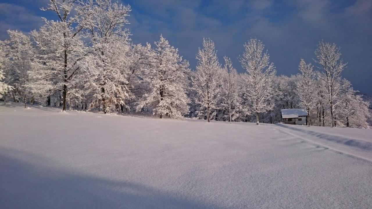 Farm Stay Čardaklije