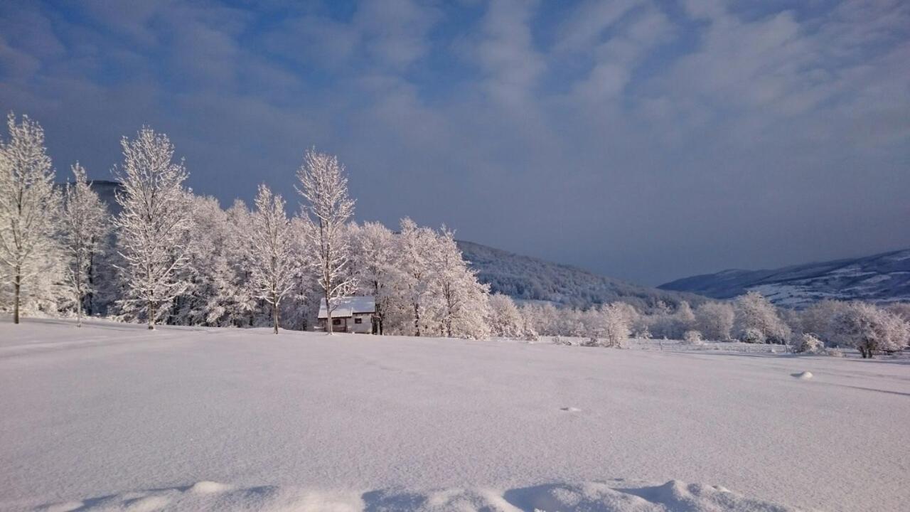 Farm Stay Čardaklije