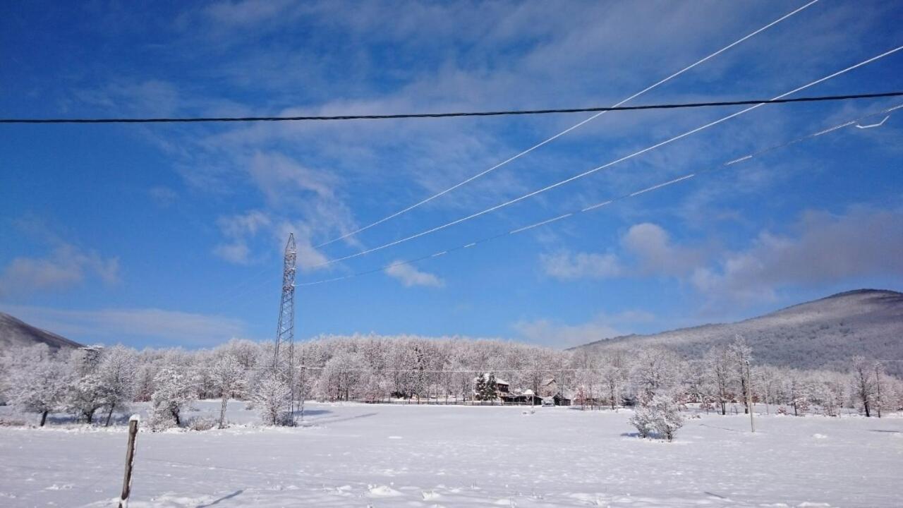 Farm Stay Čardaklije