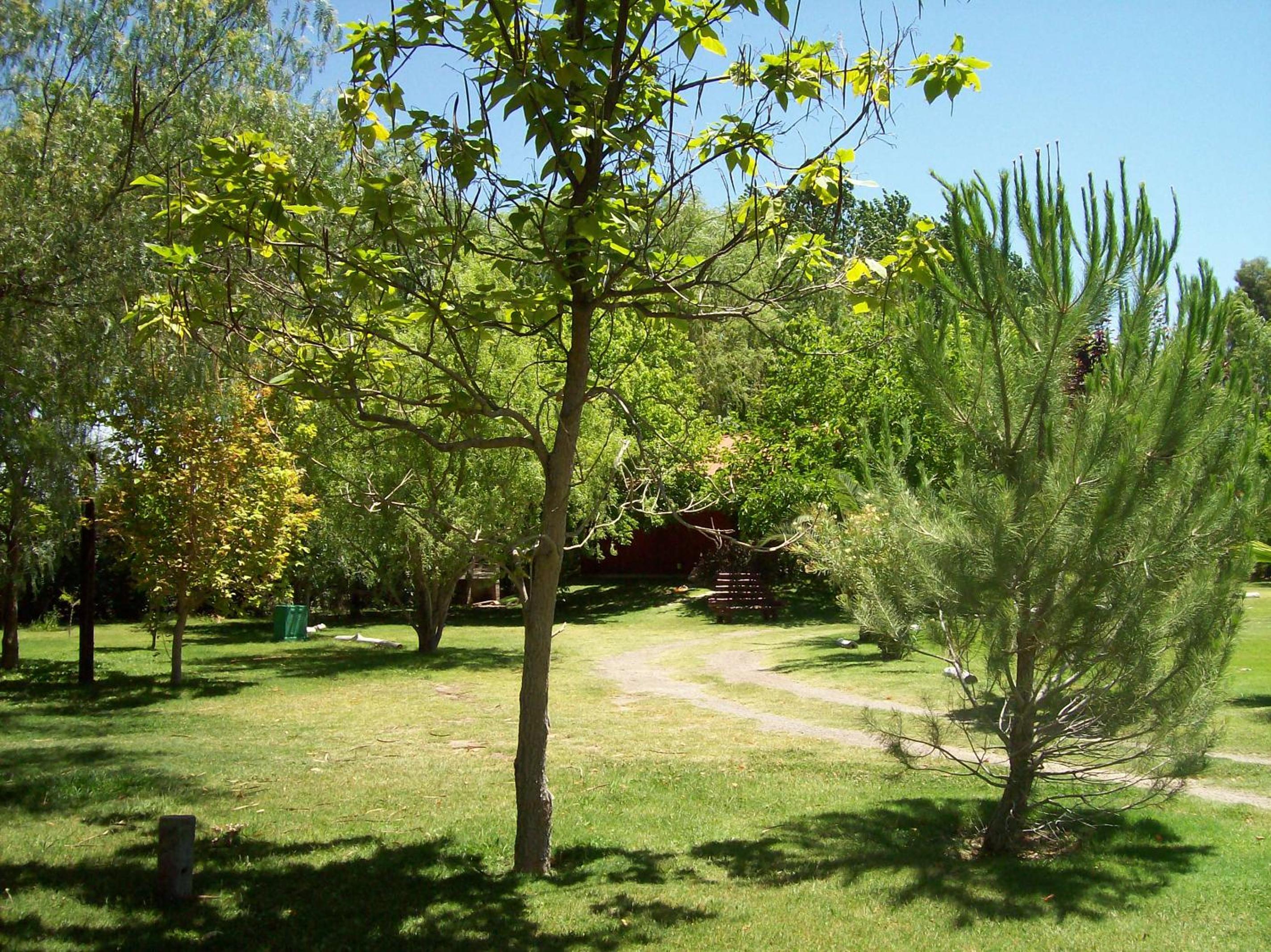 Cabañas Las Marias