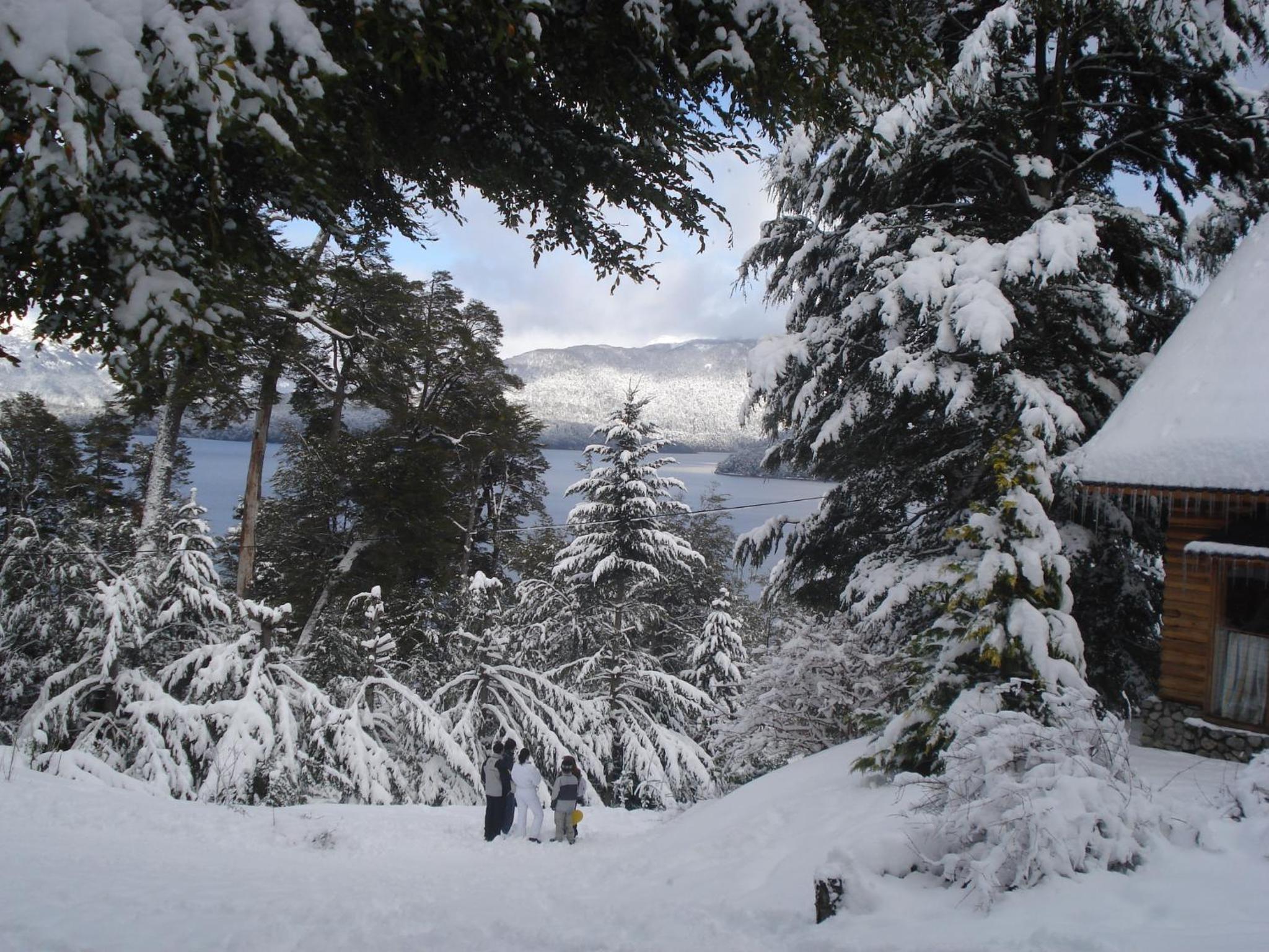Paisaje Bandurrias