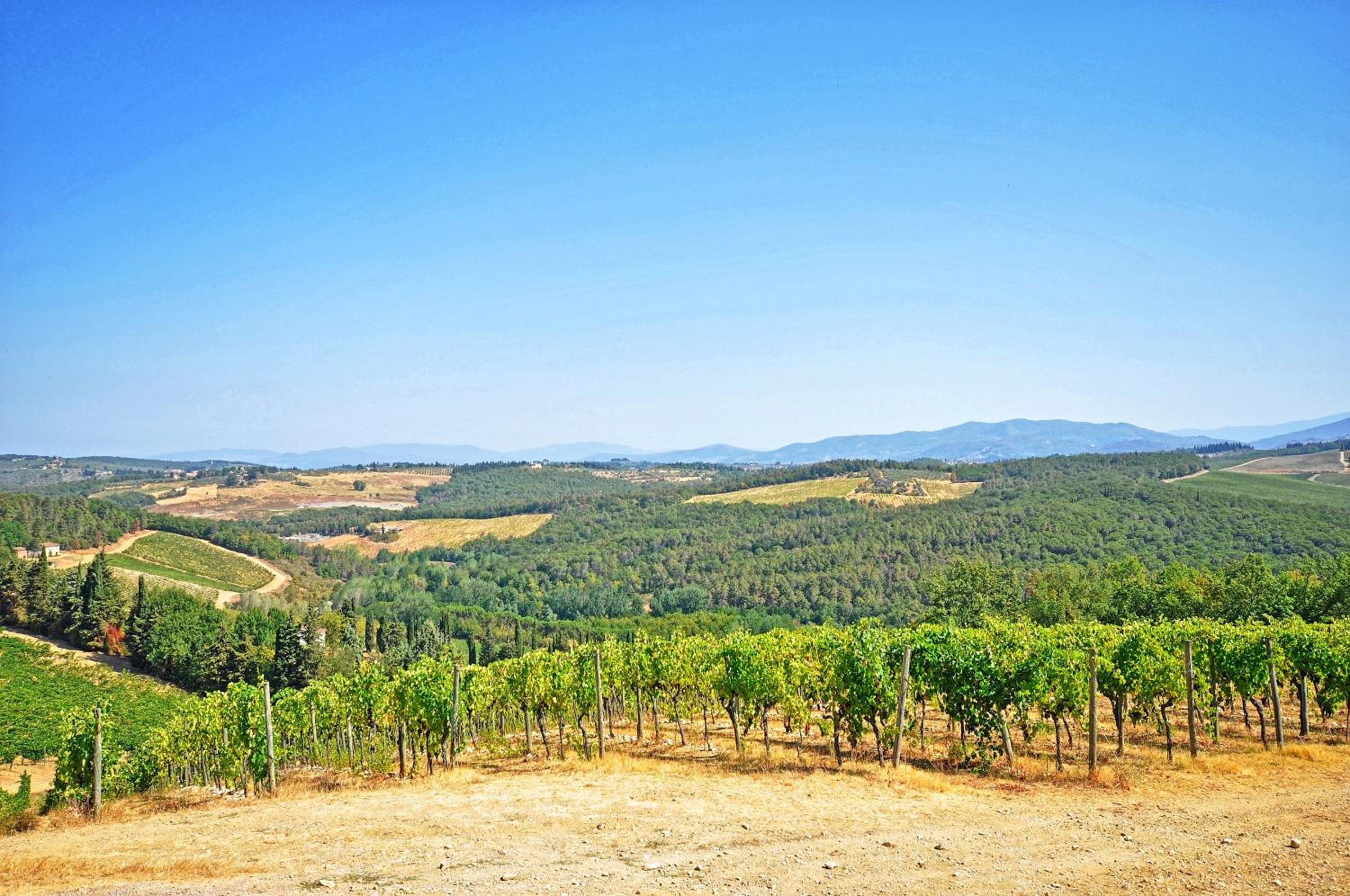 Tenuta by PosarelliVillas