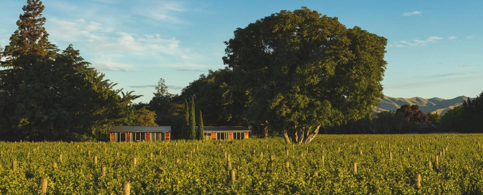 Hotel Walnut Block Cottages - Image 1