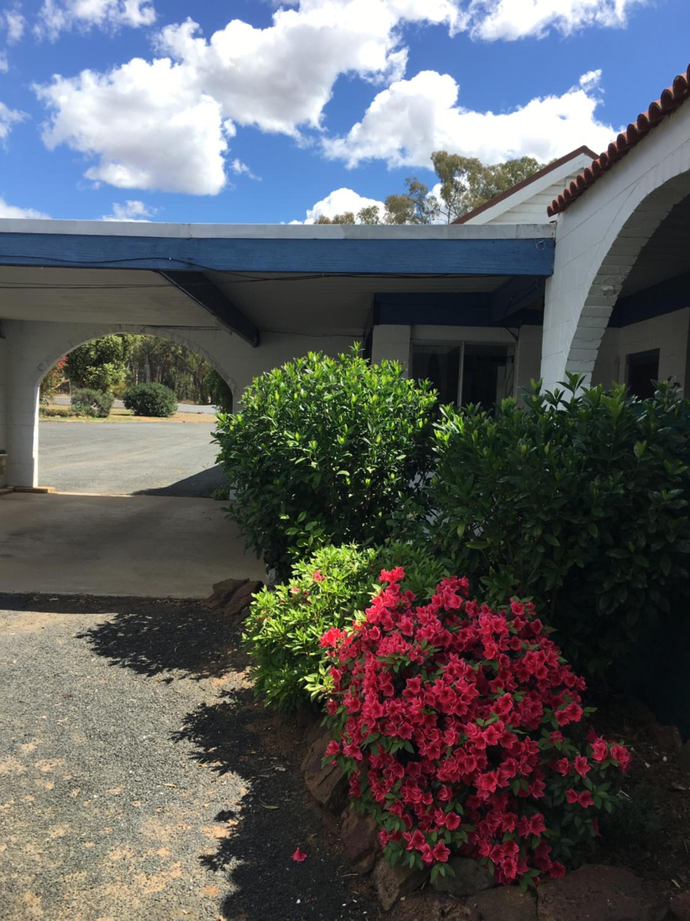 Azalea Motel
