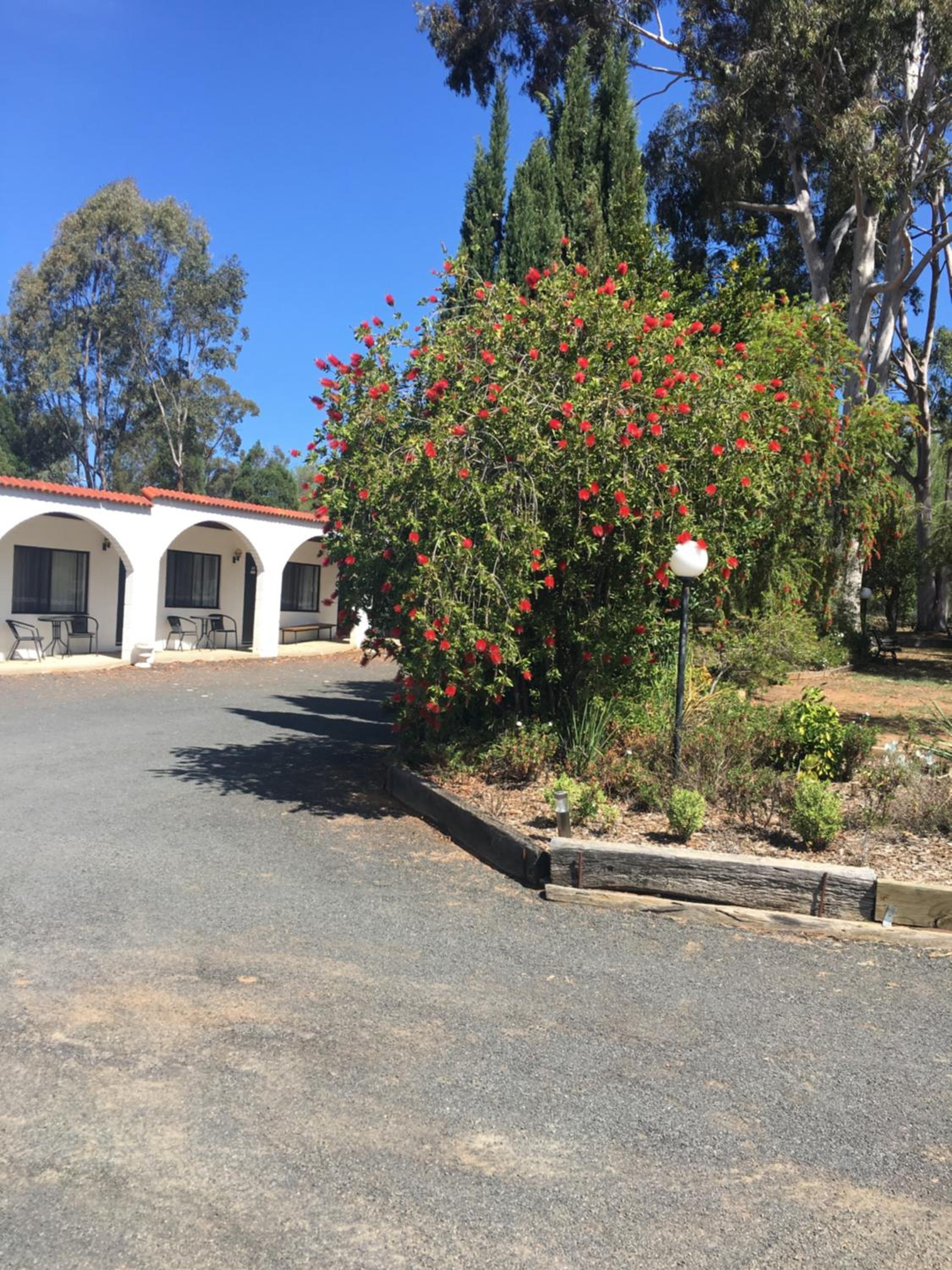Azalea Motel