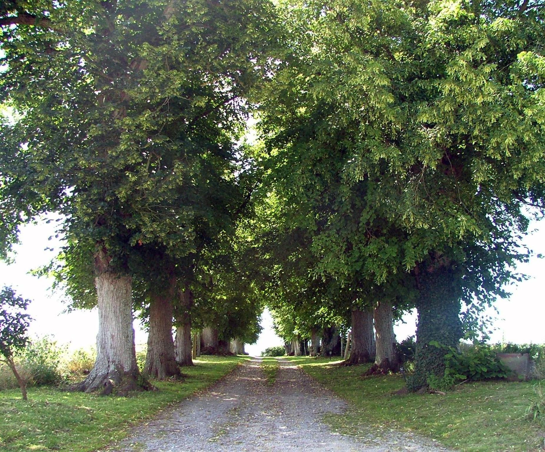 Manoir de Coulandon