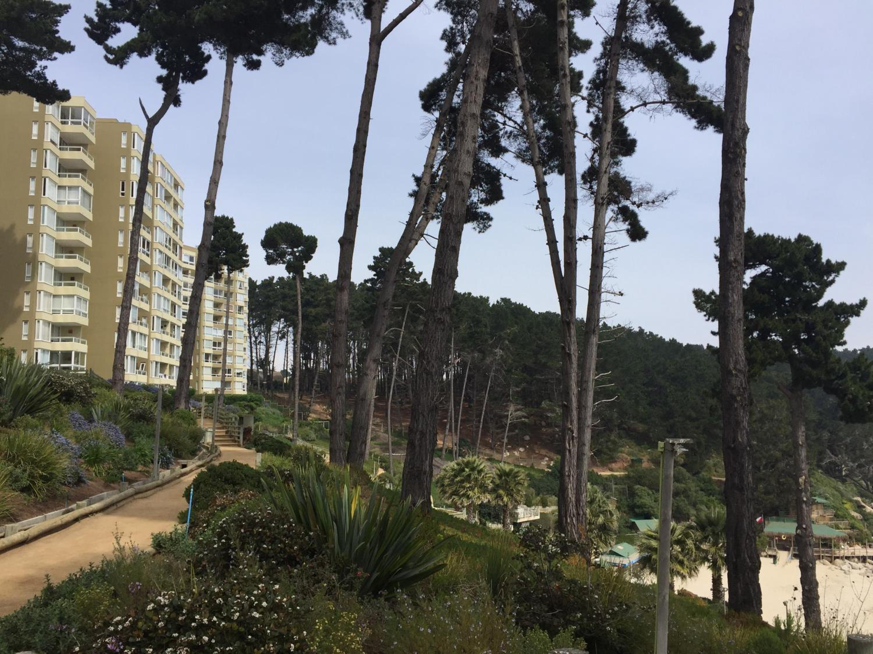 Departamento en la Playa, photo 30