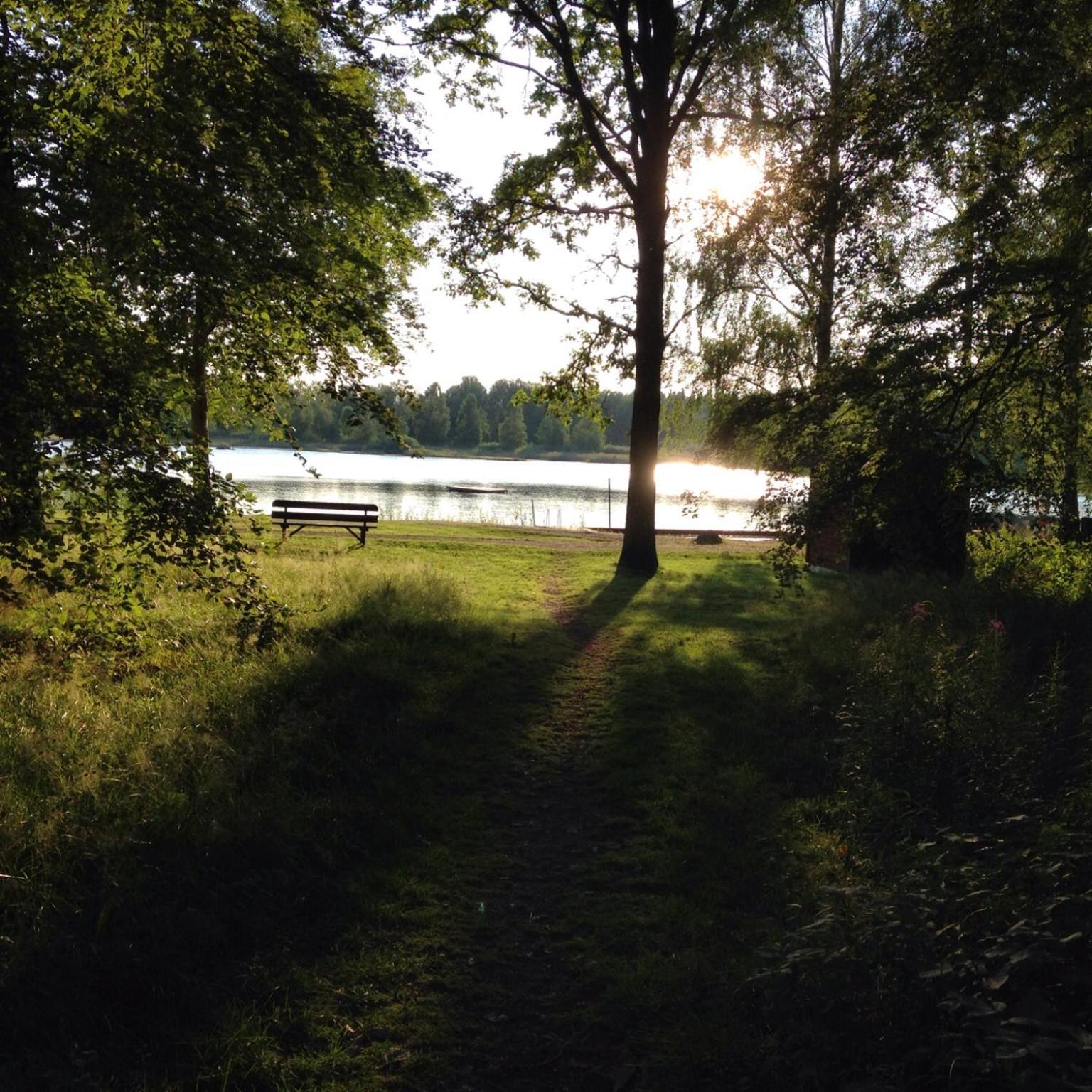 Photo 38